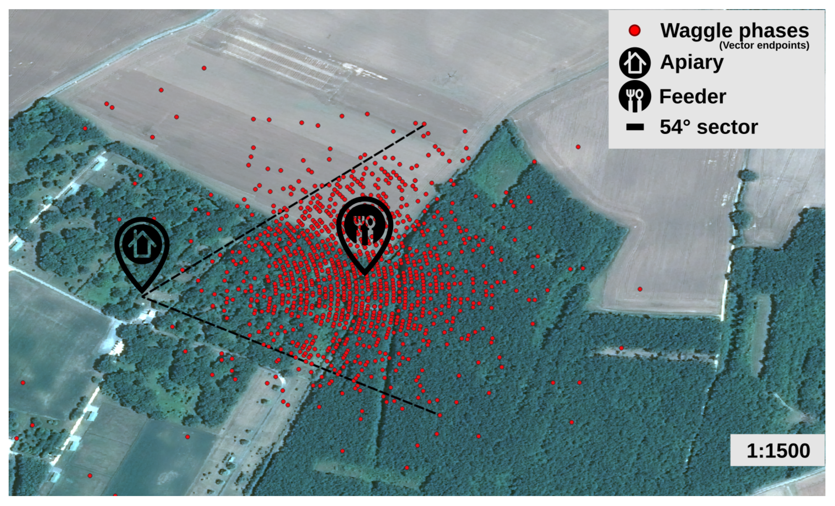 Animals 13 01182 g013 Animals 13 01182 g013