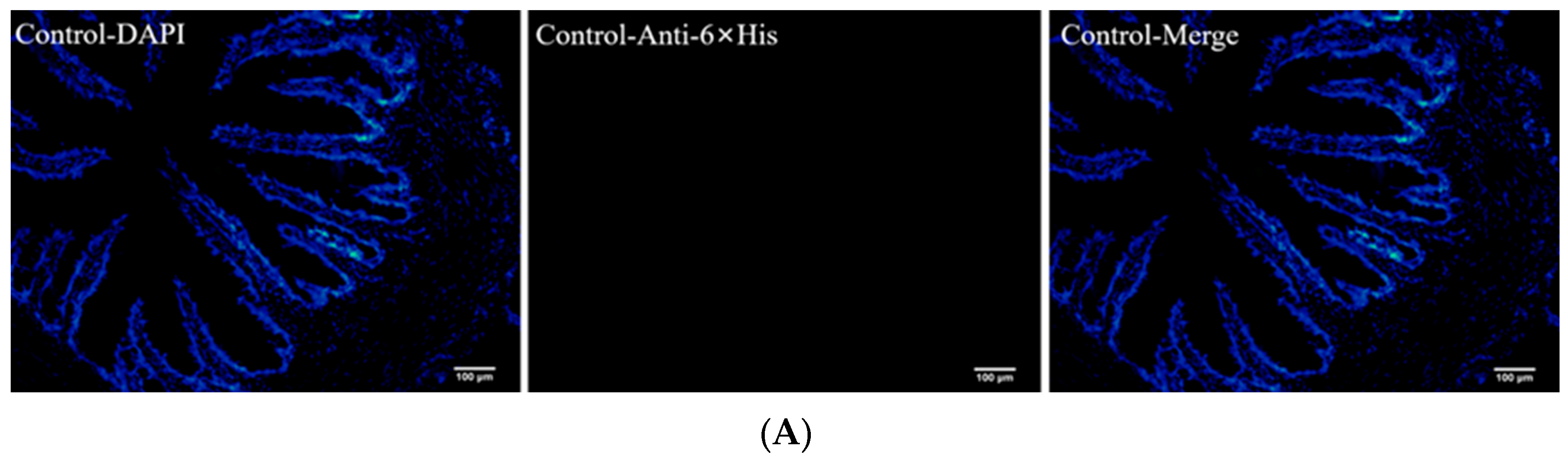 Animals 13 01183 g003a