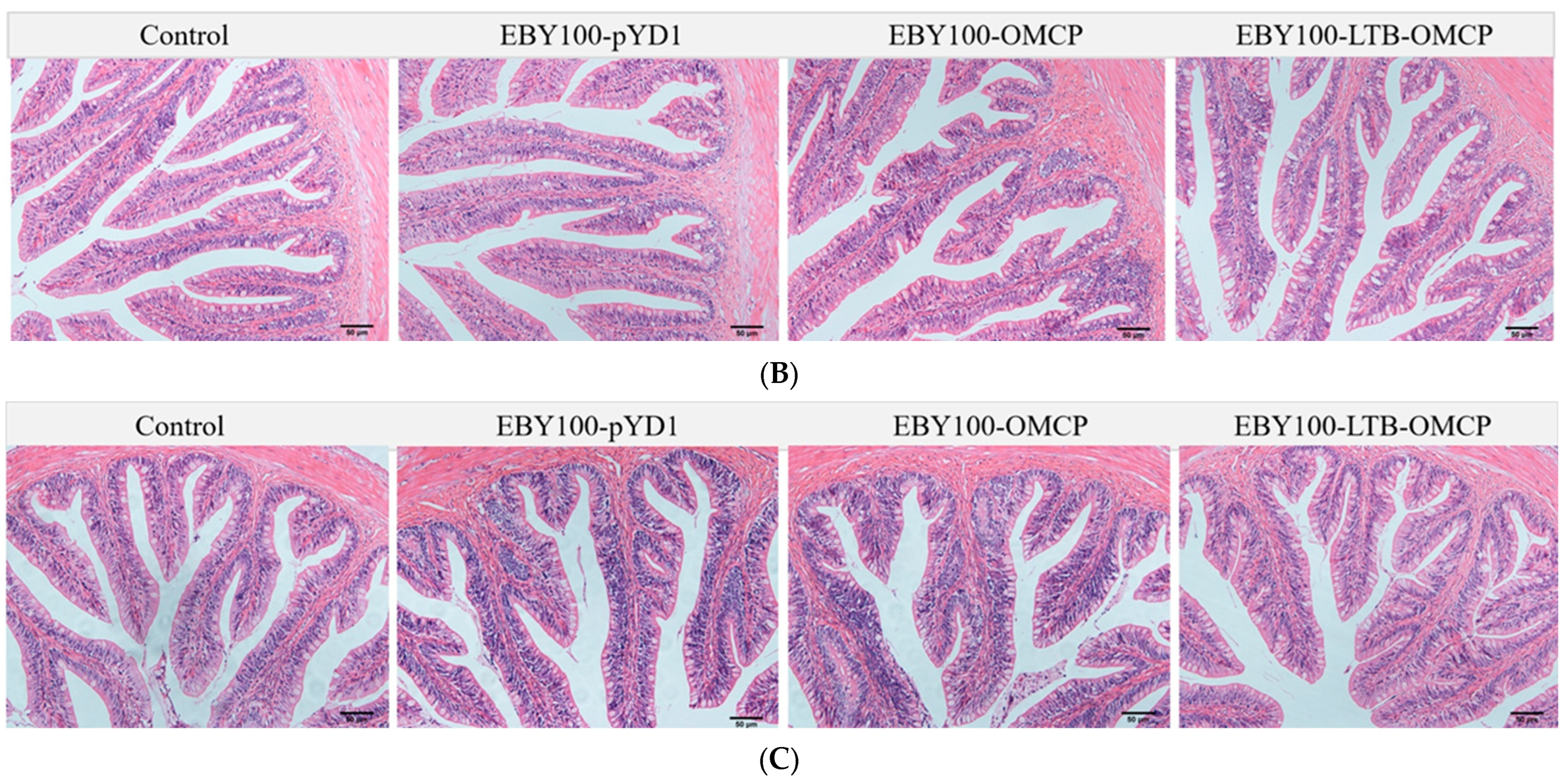 Animals 13 01183 g004b