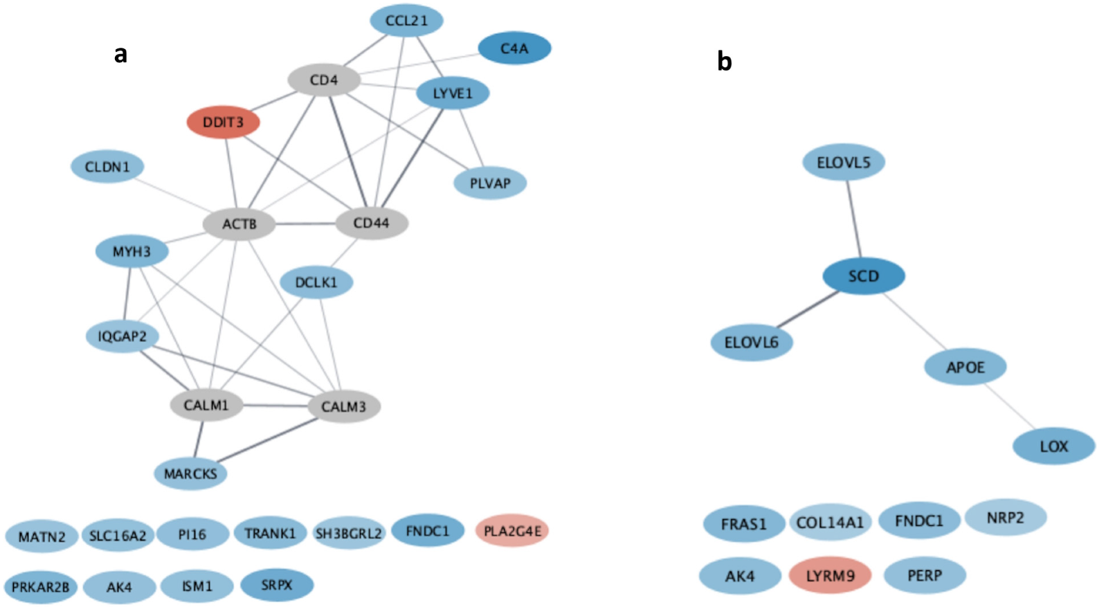 Animals 13 01187 g001