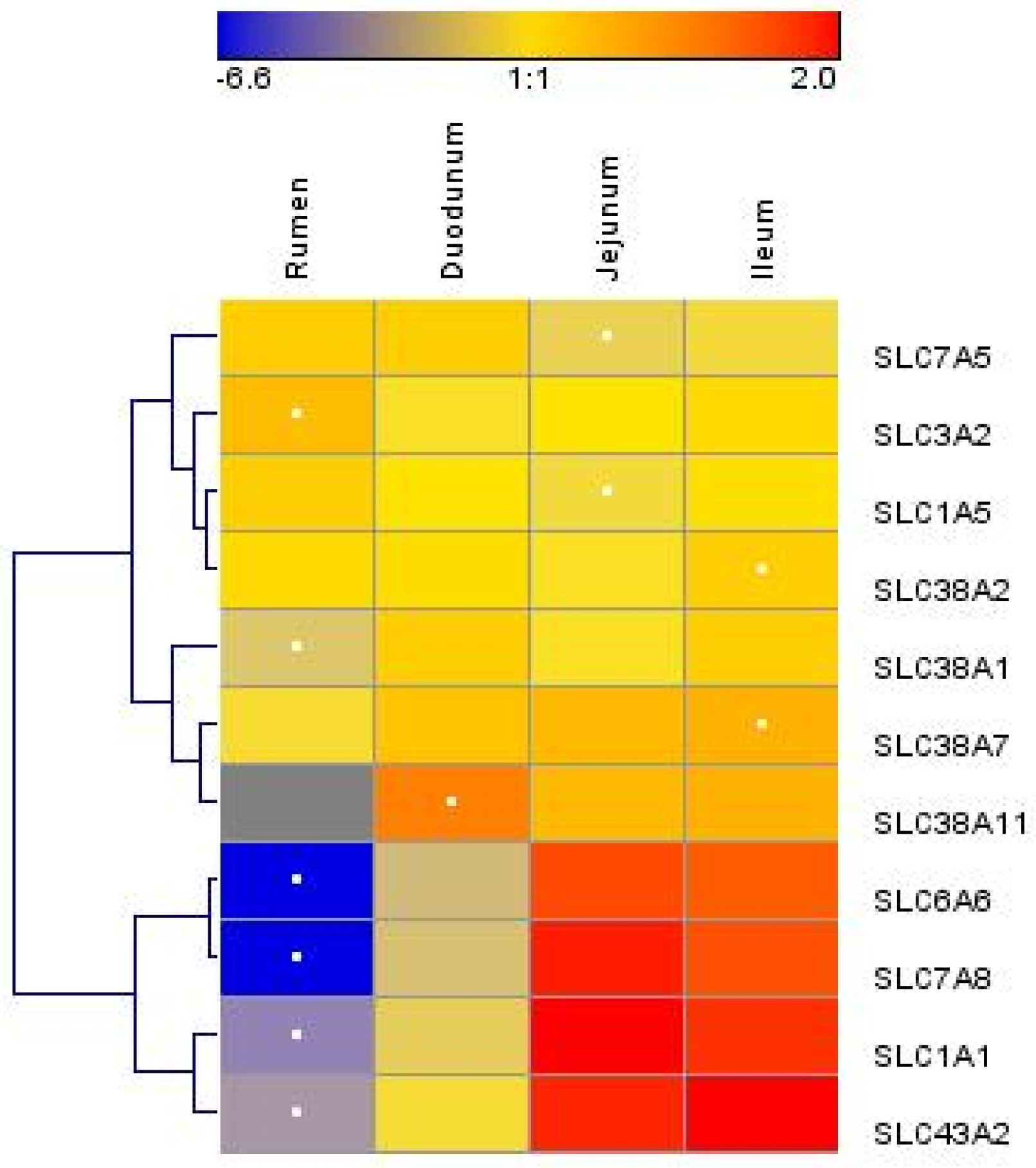 Animals 13 01189 g002