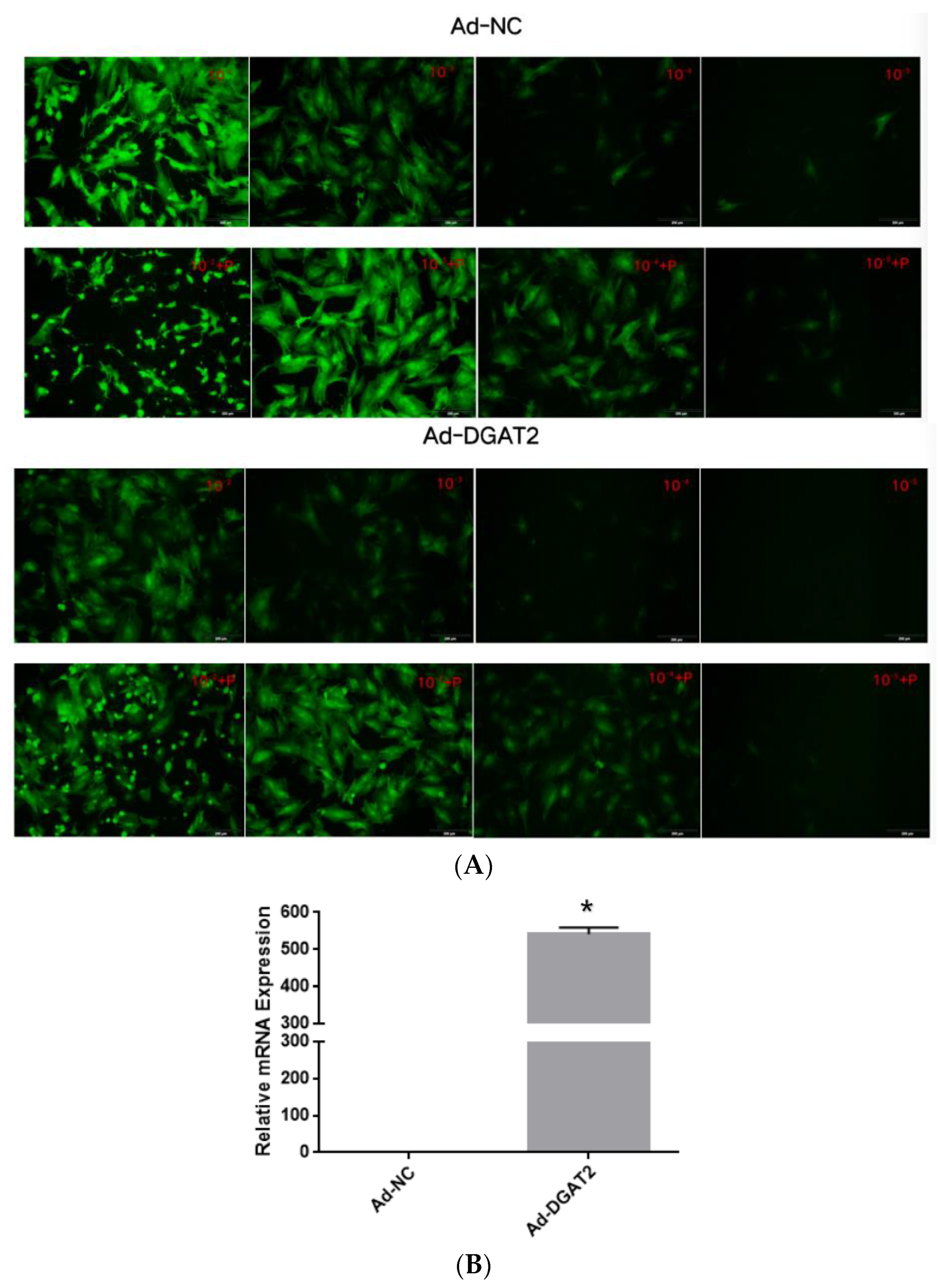 Animals 13 01195 g001