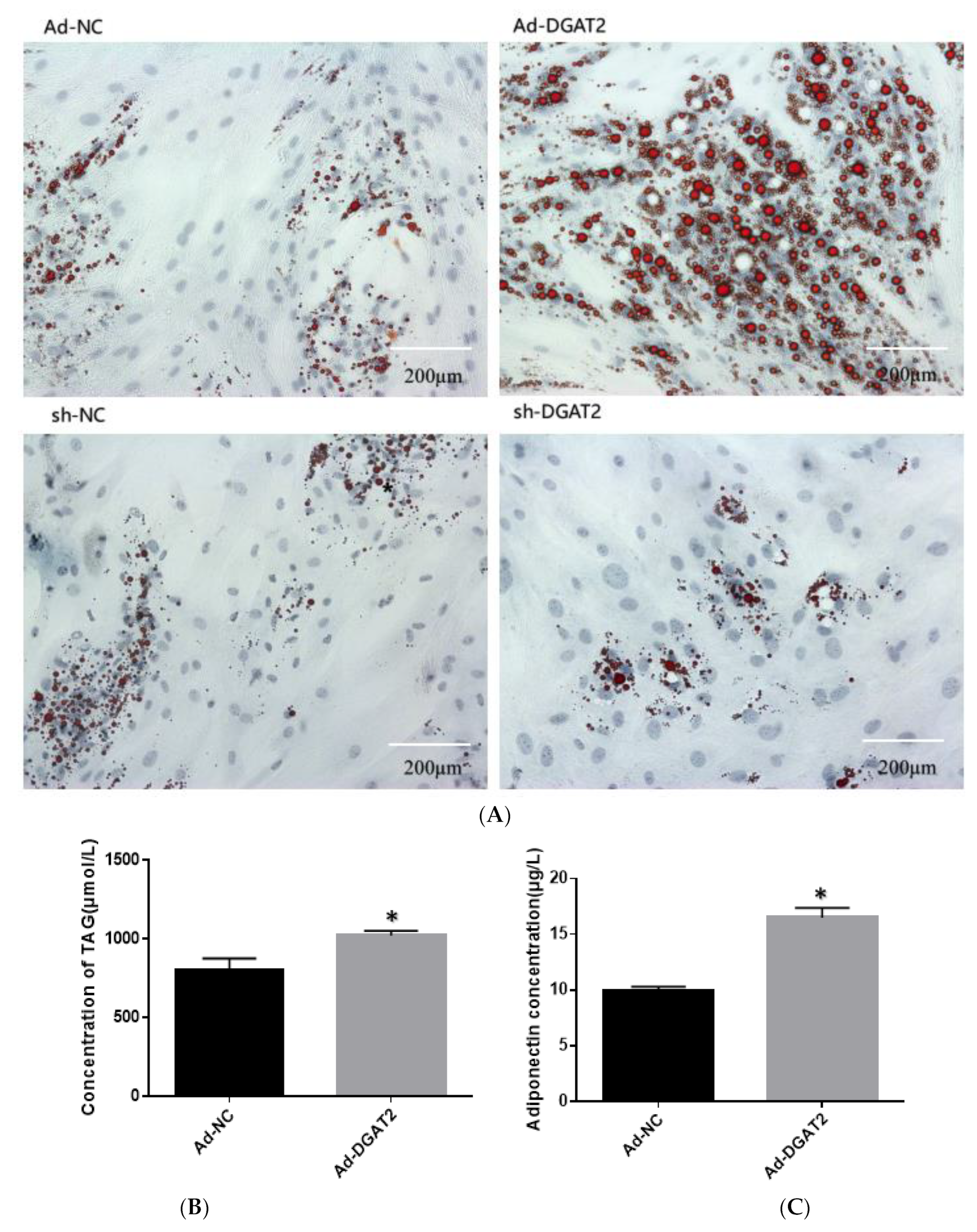 Animals 13 01195 g003a