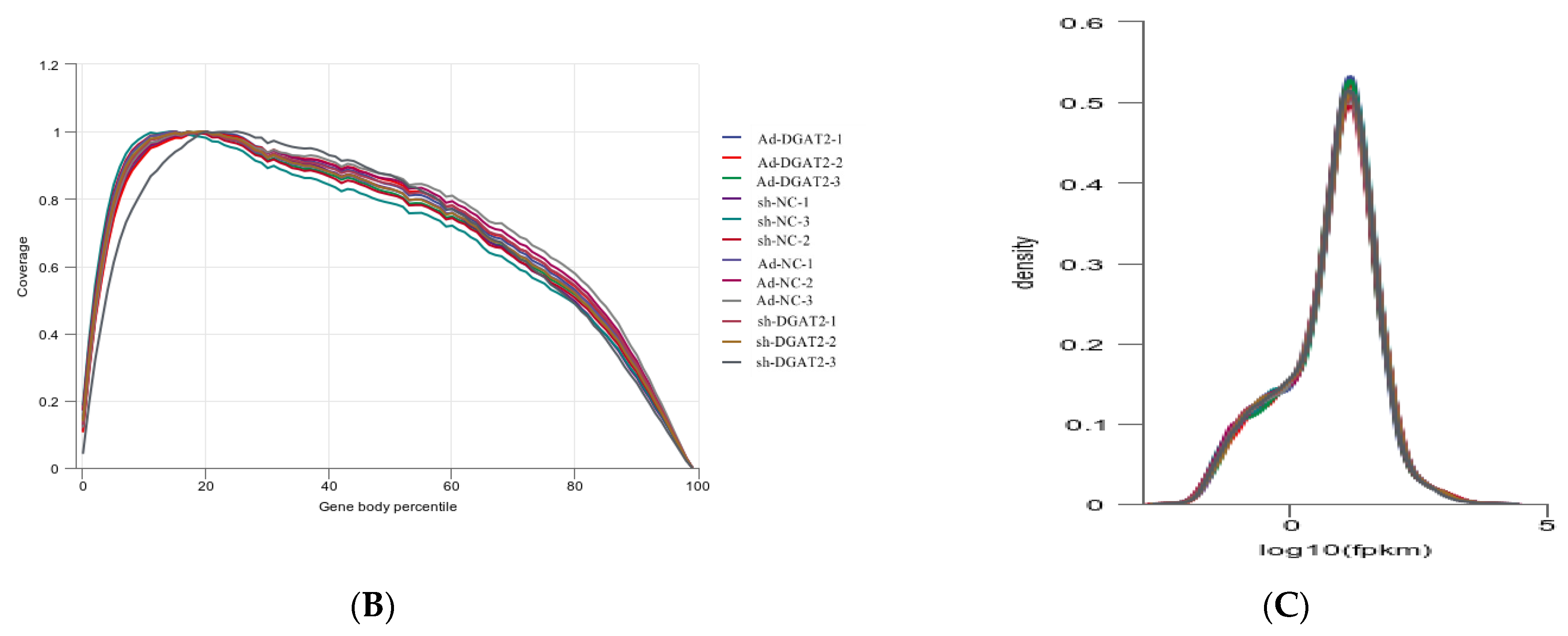 Animals 13 01195 g006b