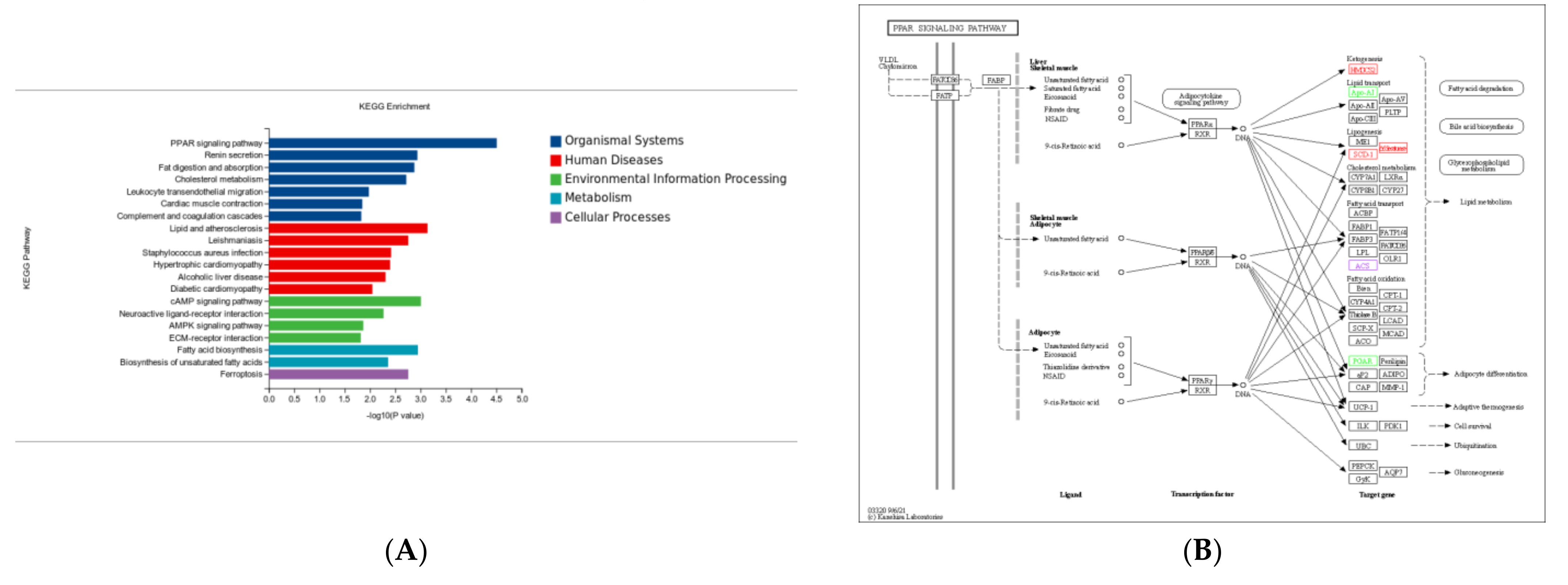 Animals 13 01195 g009a