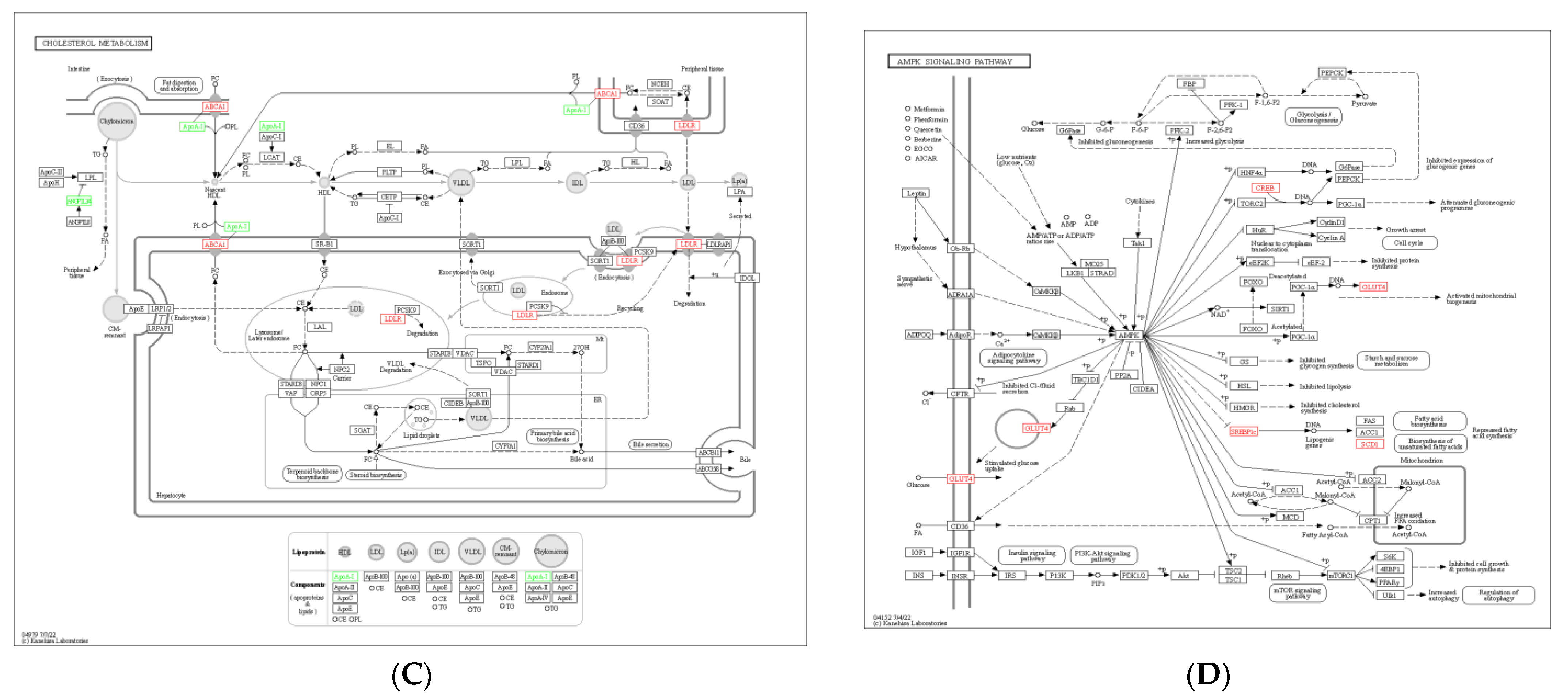 Animals 13 01195 g009b