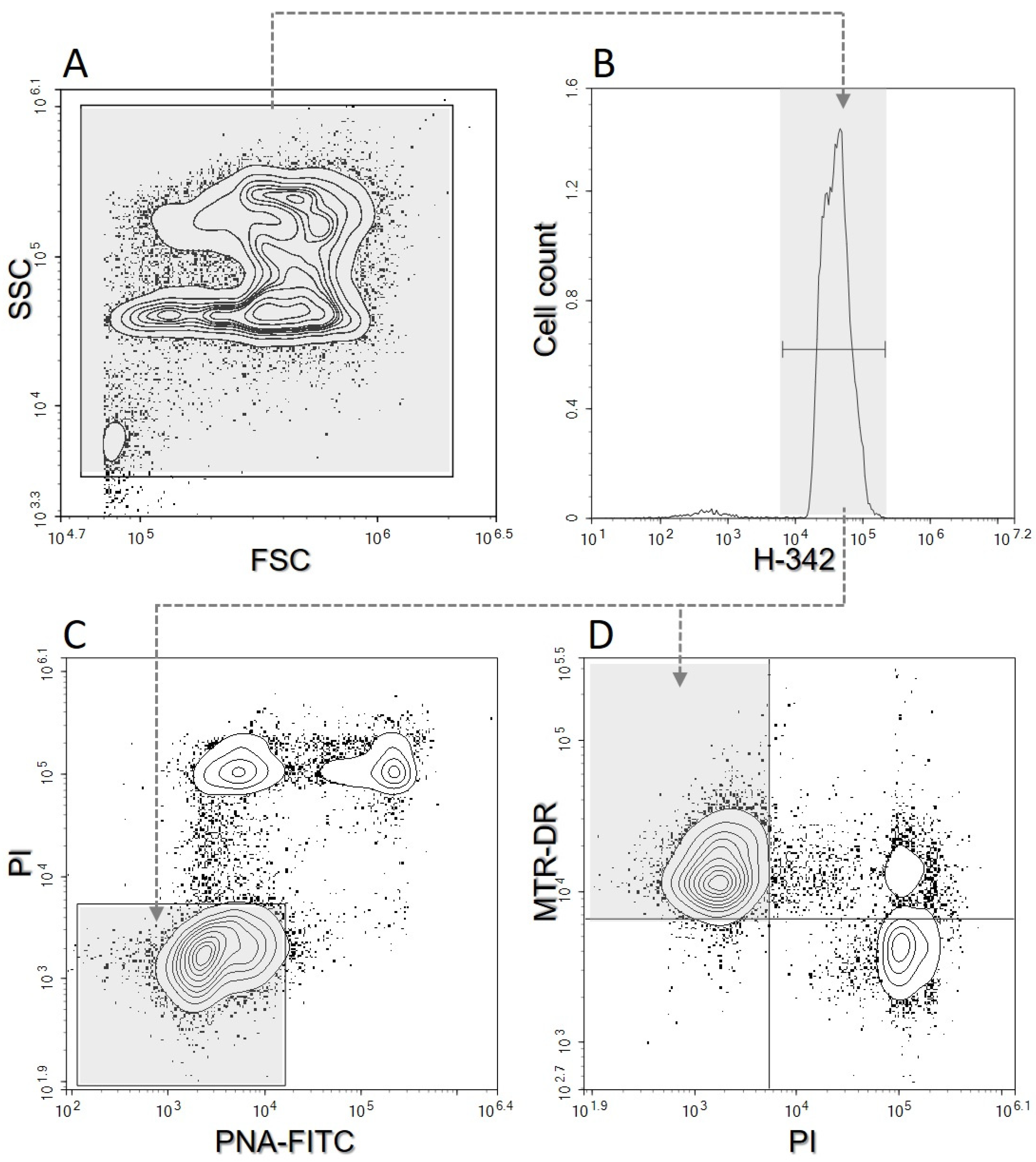 Animals 13 01200 g001