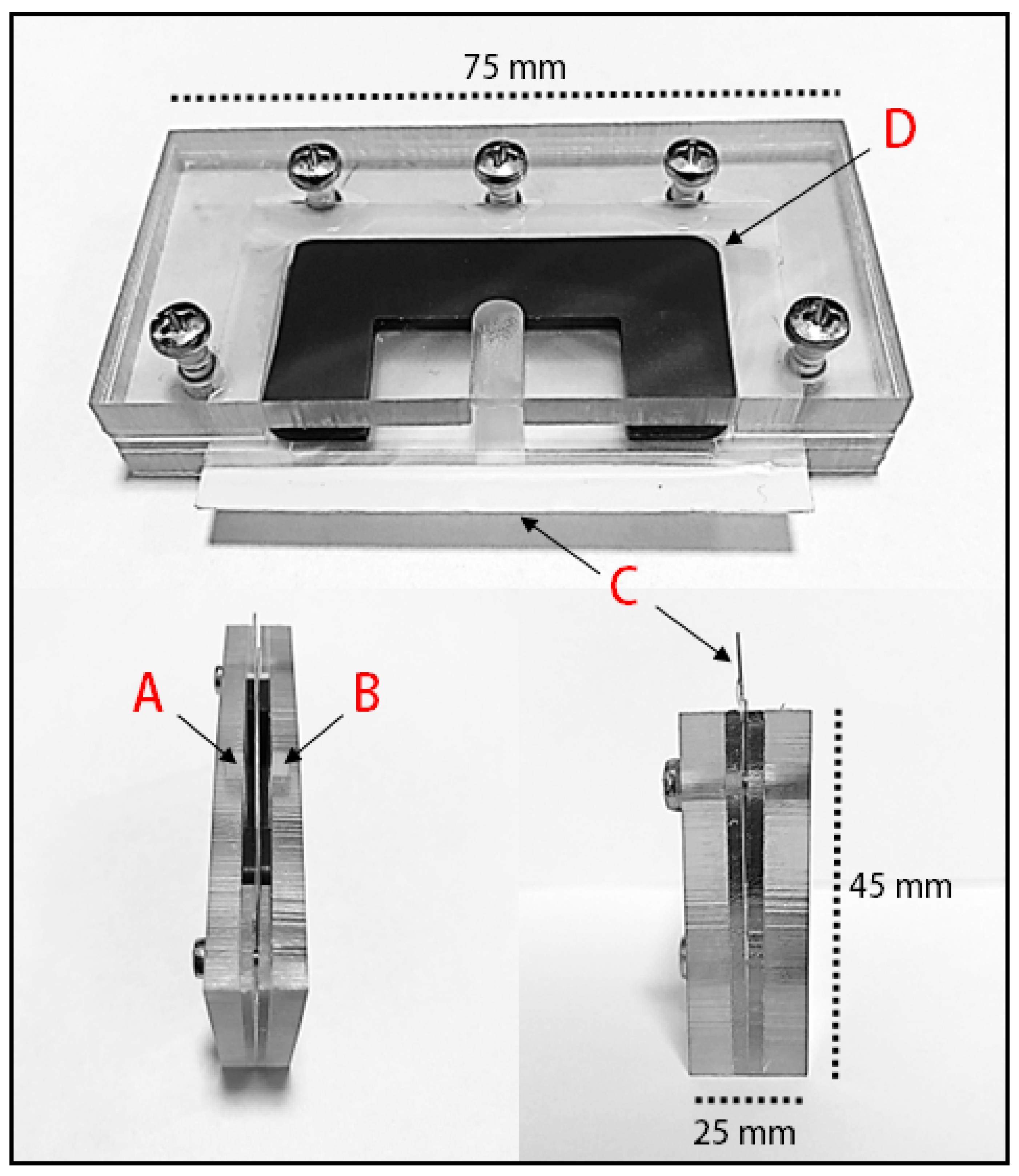 Animals 13 01203 g001