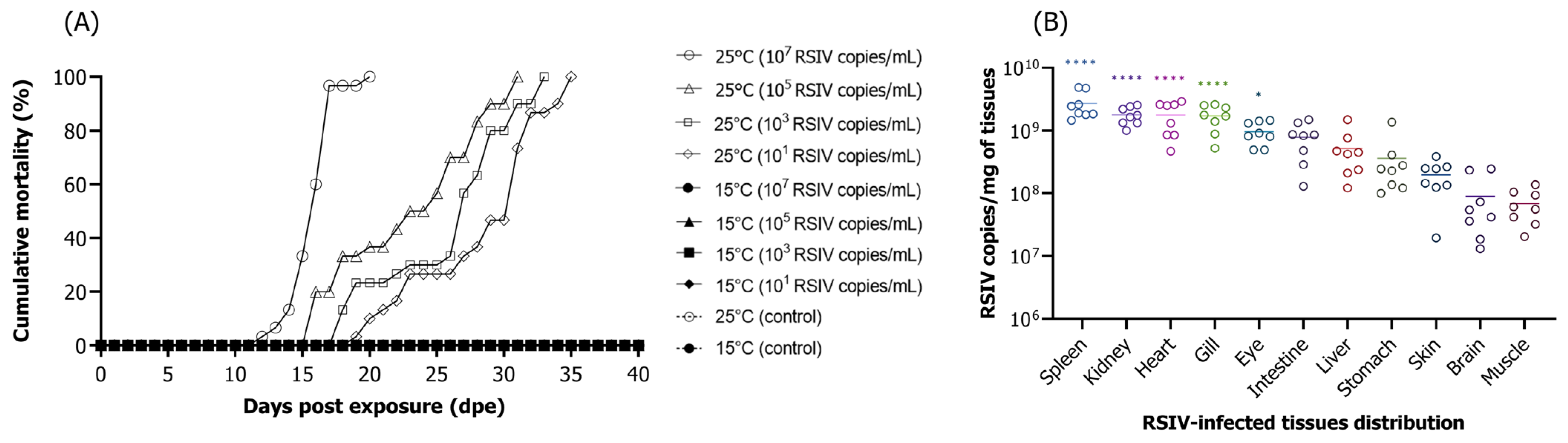 Animals 13 01210 g001