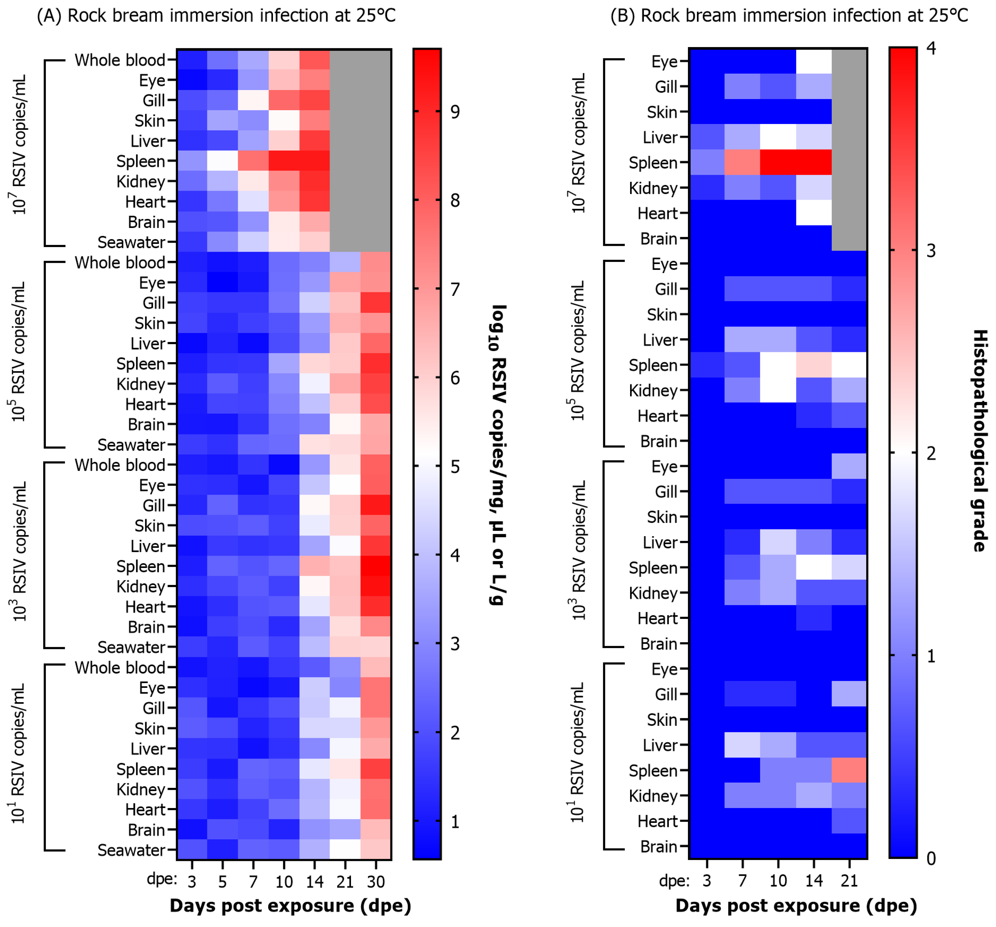 Animals 13 01210 g004