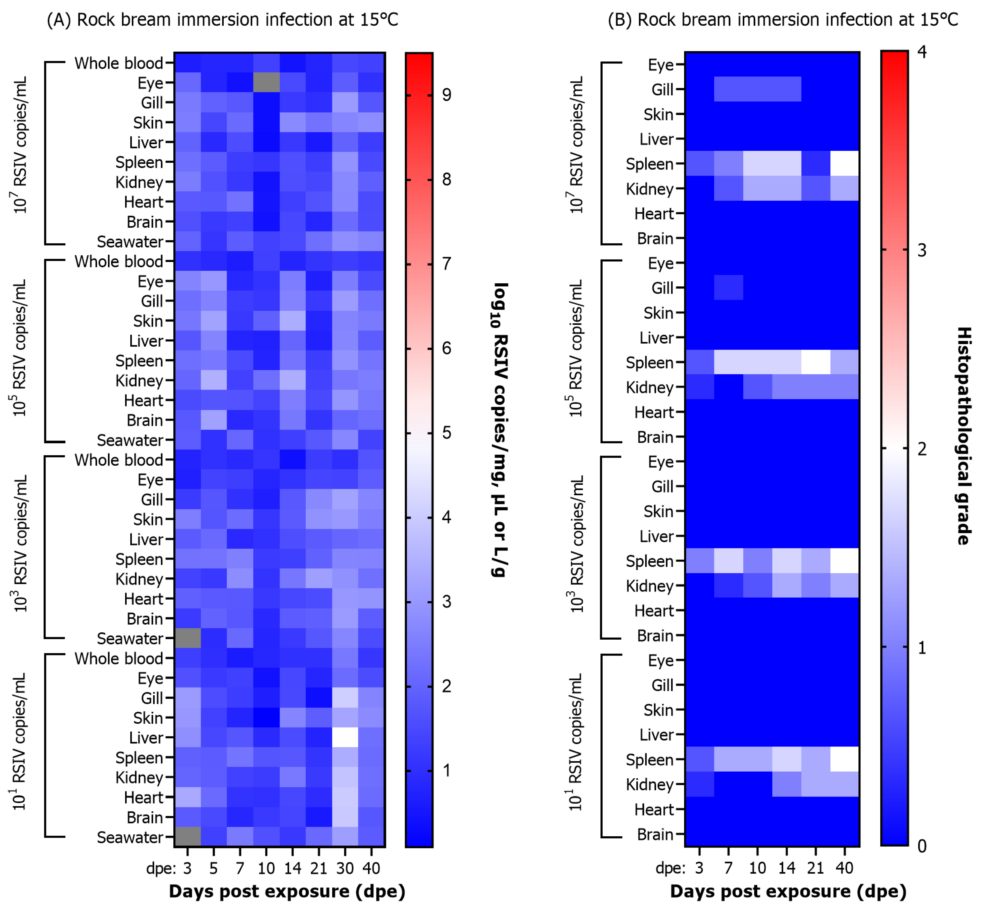 Animals 13 01210 g005