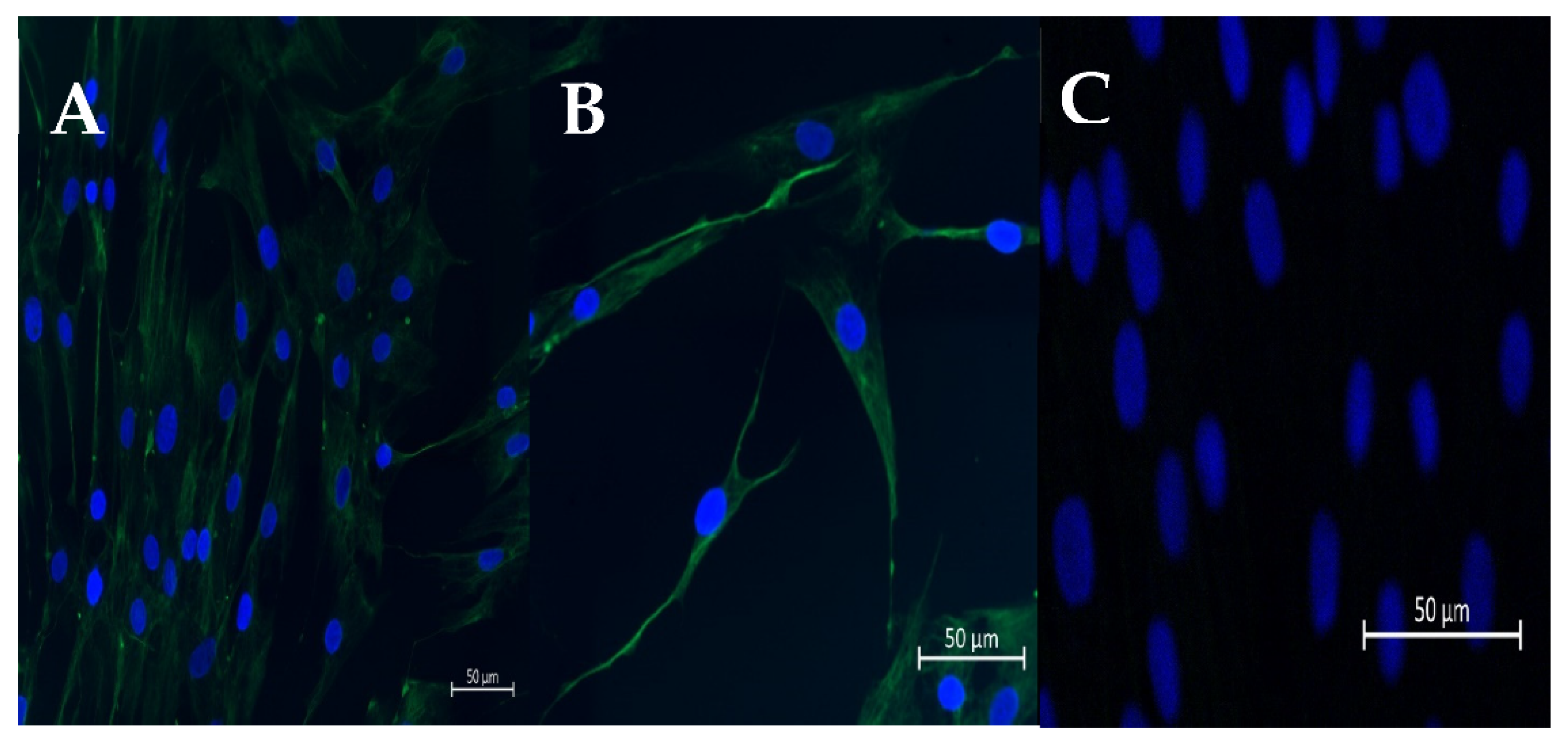 Animals 13 01212 g001