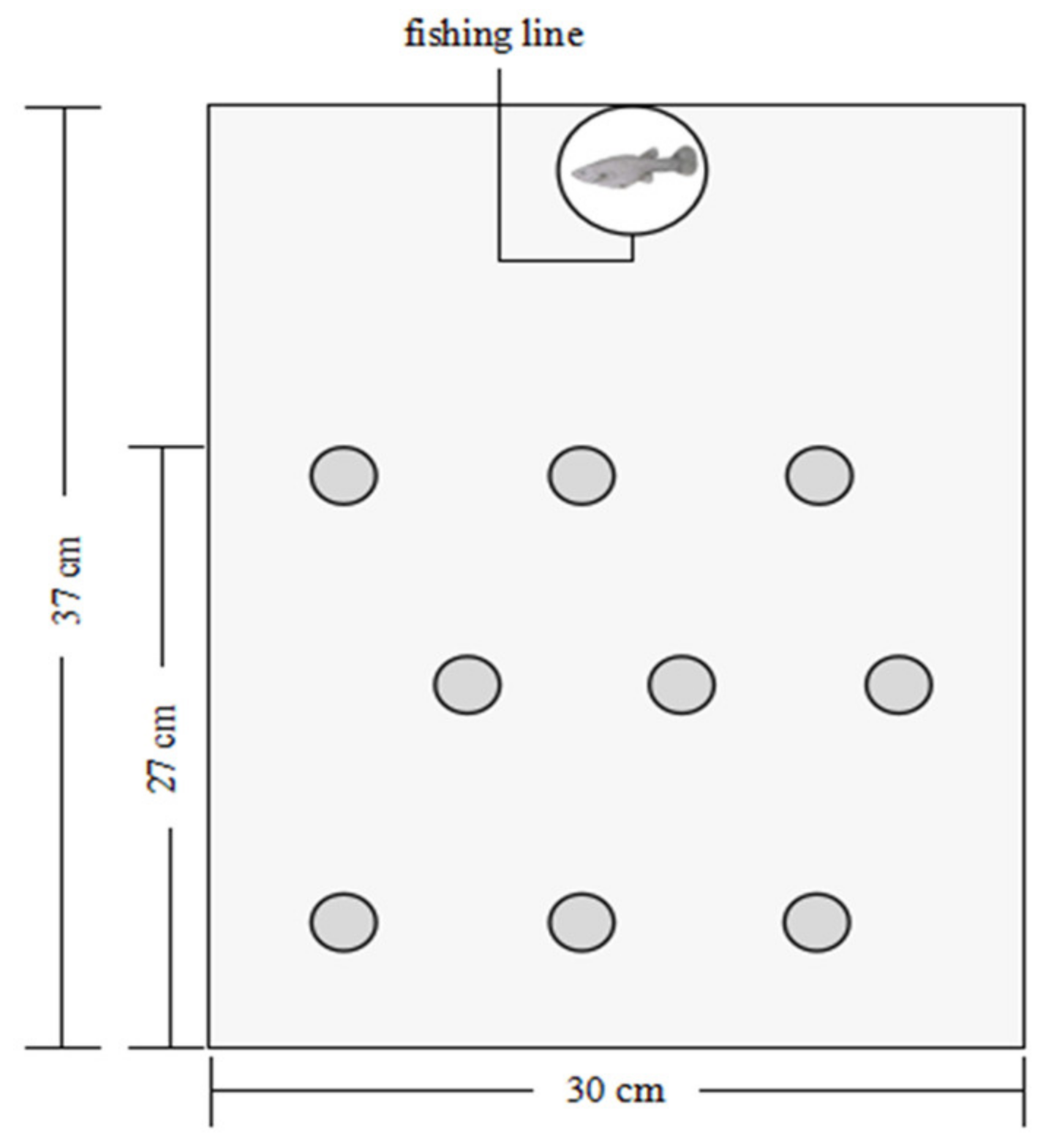 Animals 13 01214 g001 Animals 13 01214 g001