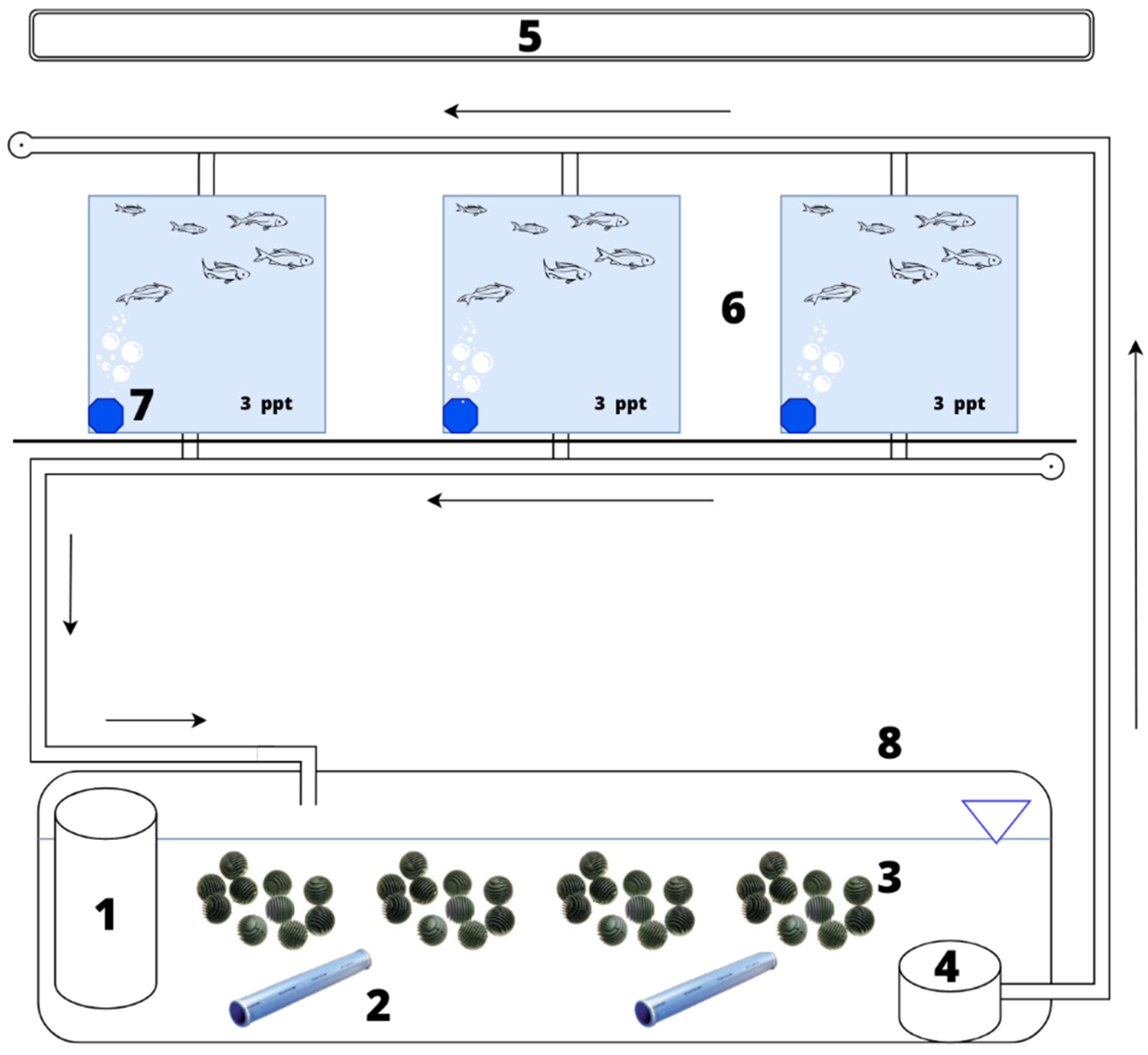Animals 13 01245 g001