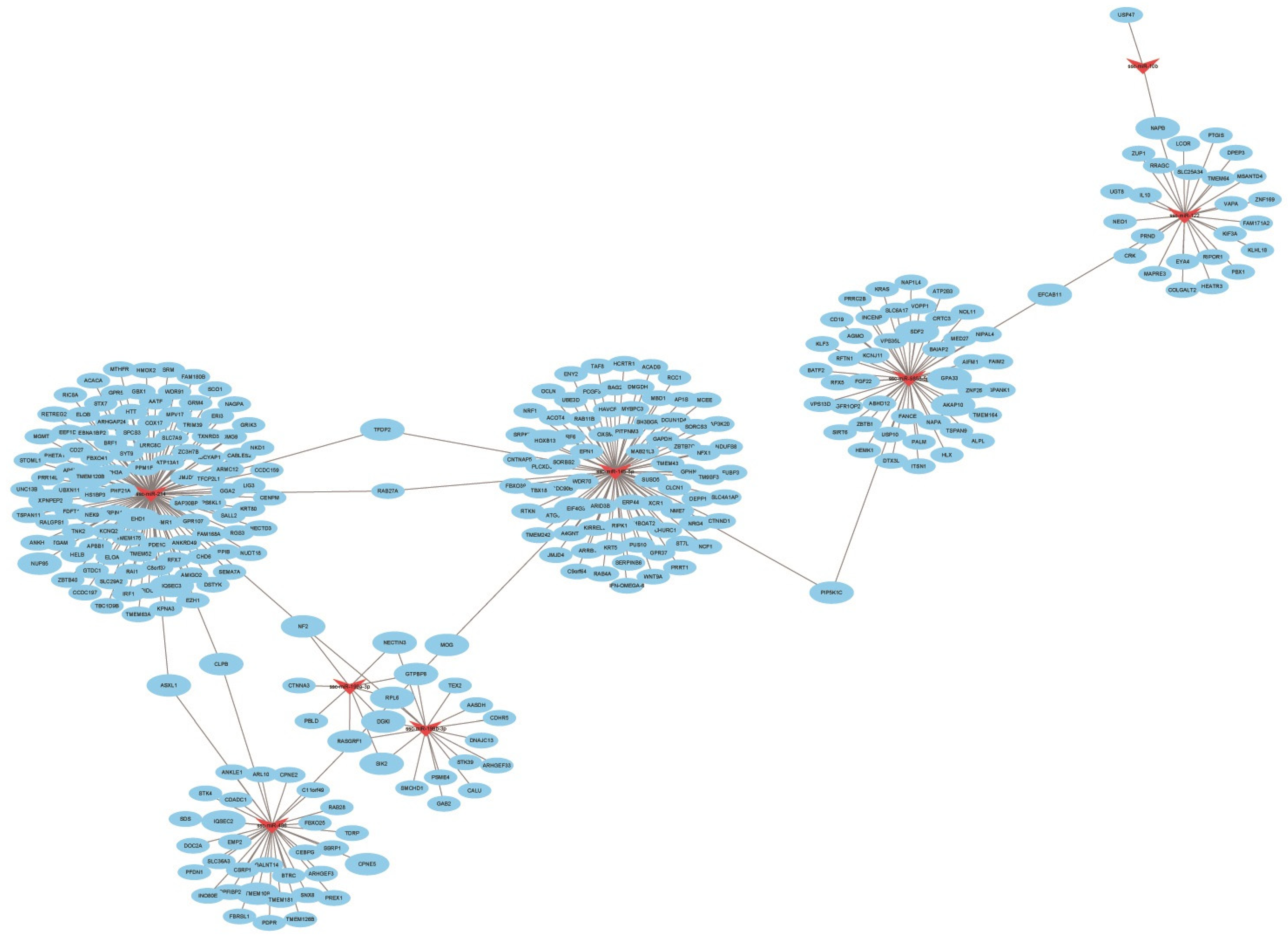 Animals 13 01246 g008