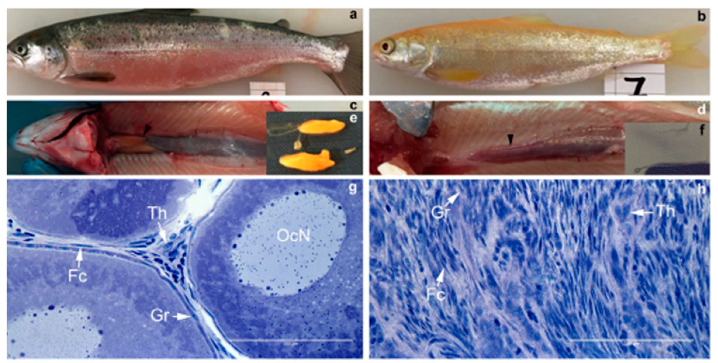 Animals 13 01250 g007