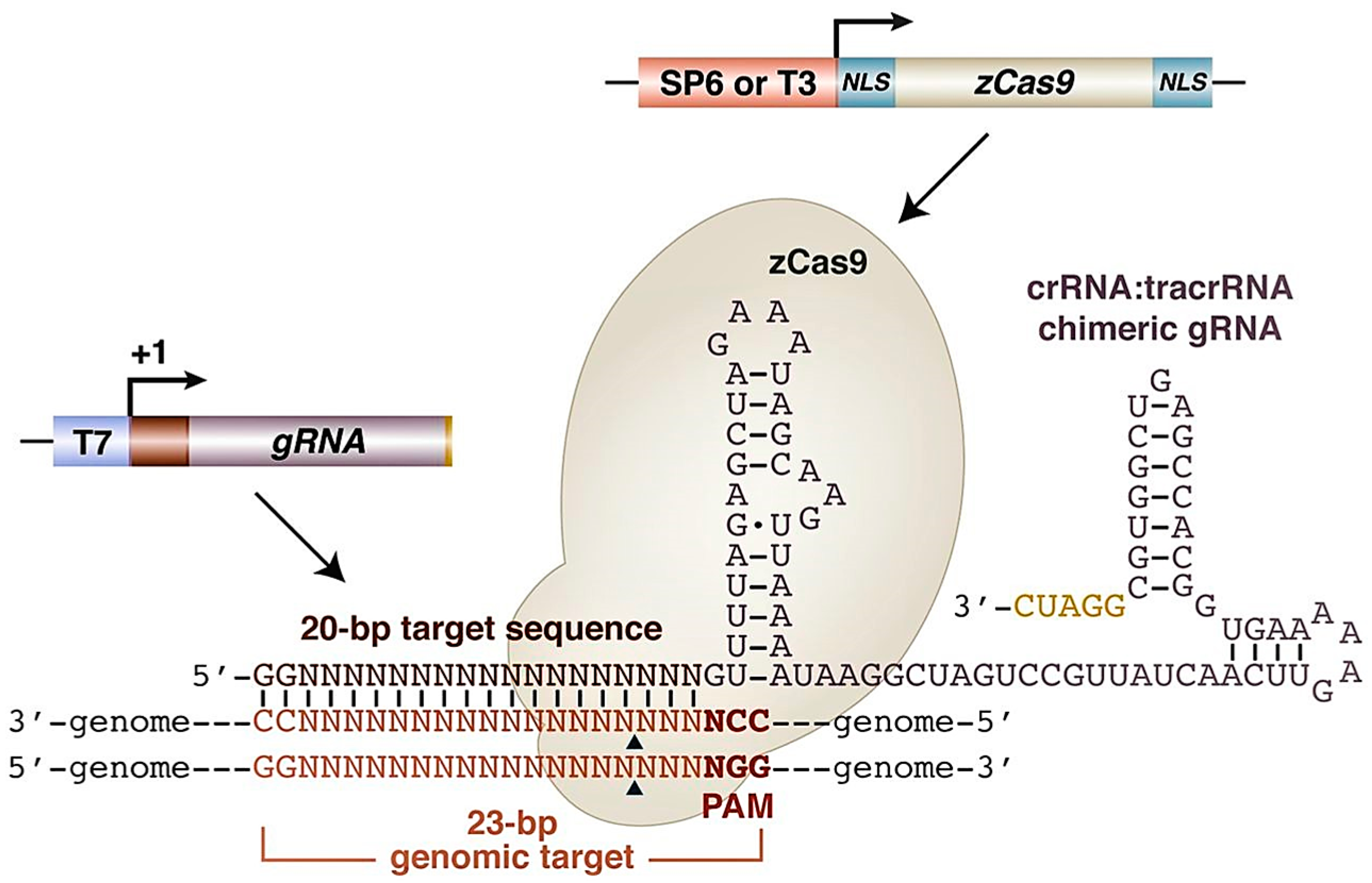 Animals 13 01250 g008