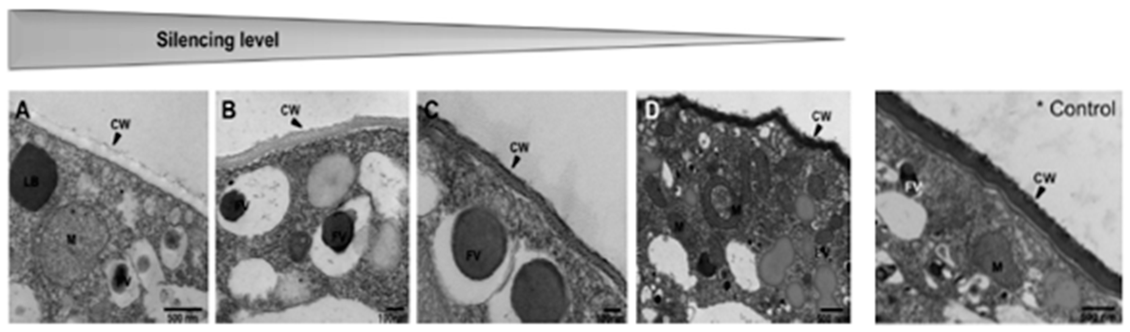 Animals 13 01250 g013