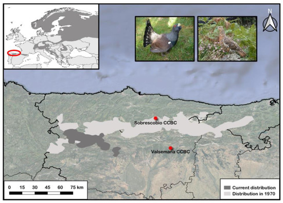 Animals 13 01255 g001