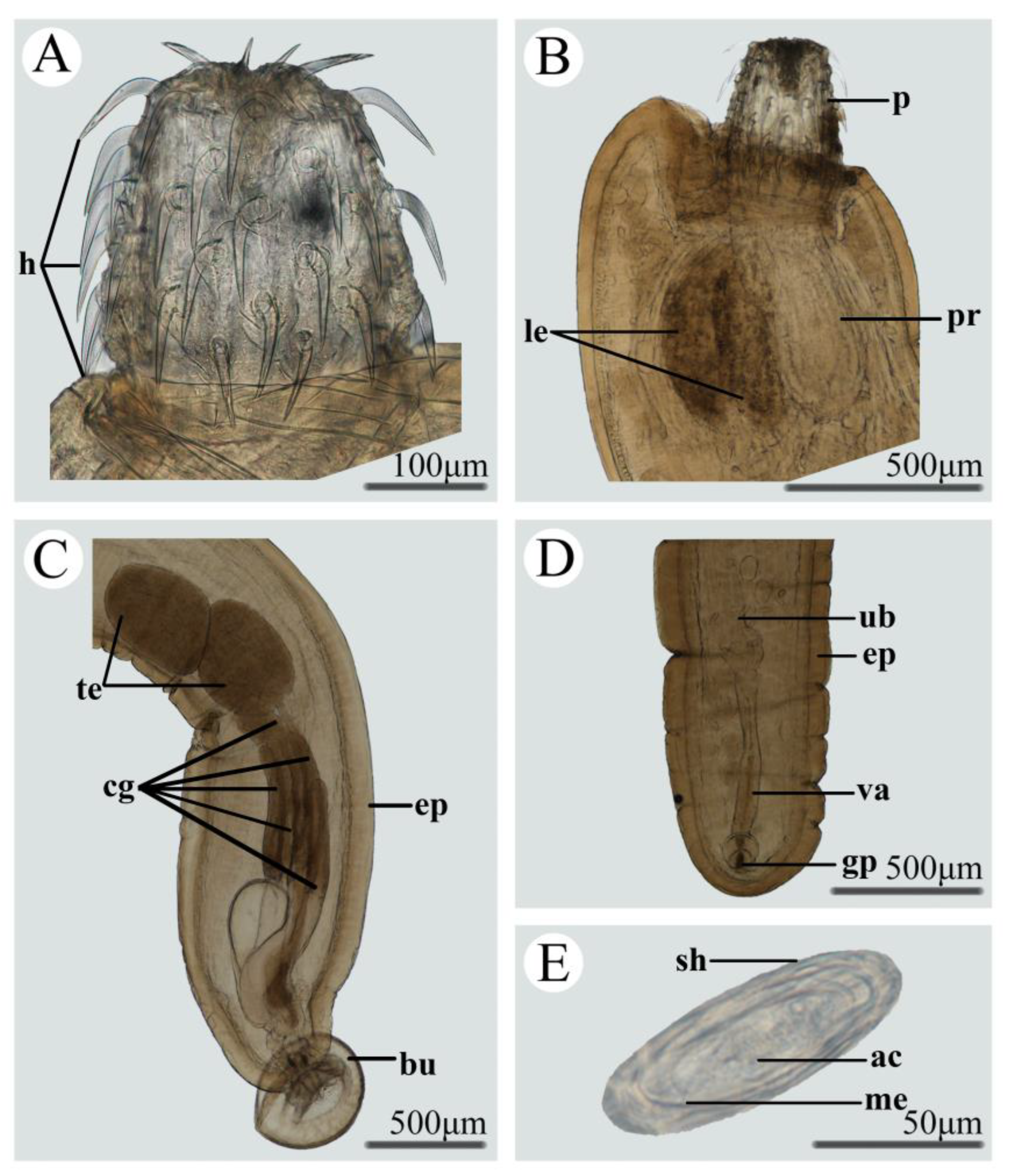 Animals 13 01256 g001