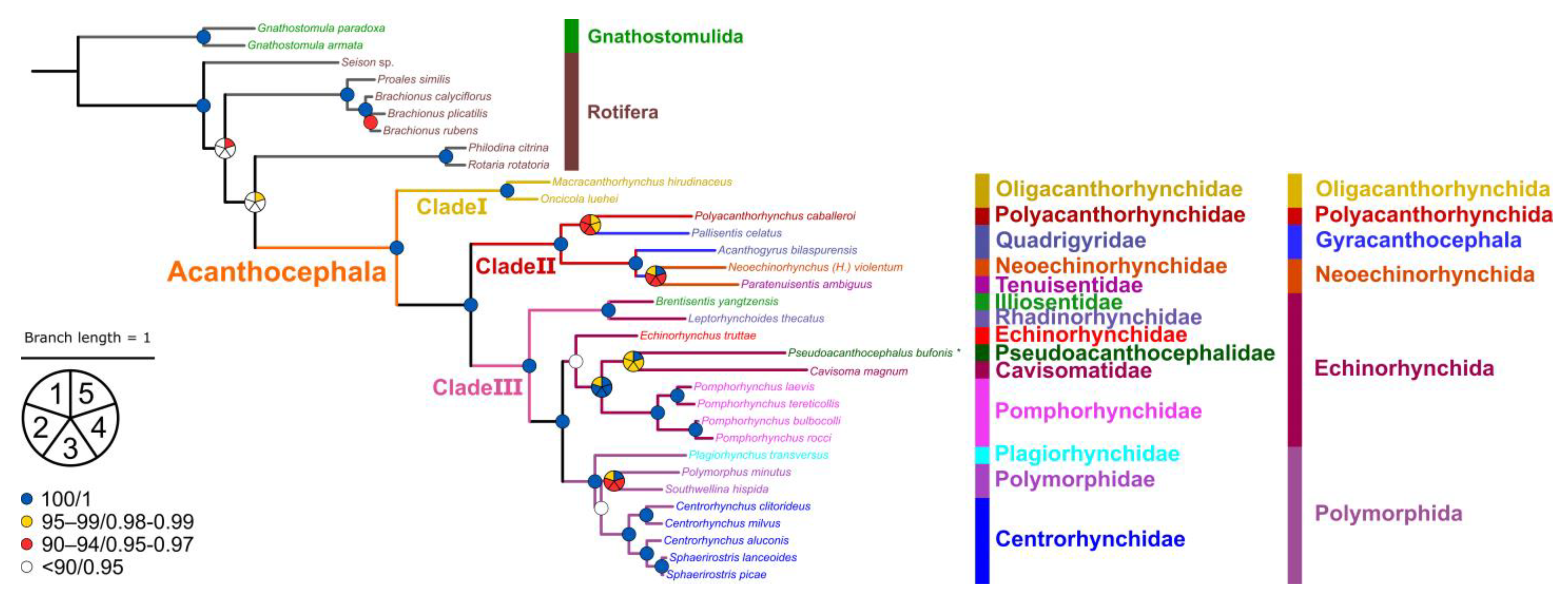 Animals 13 01256 g007