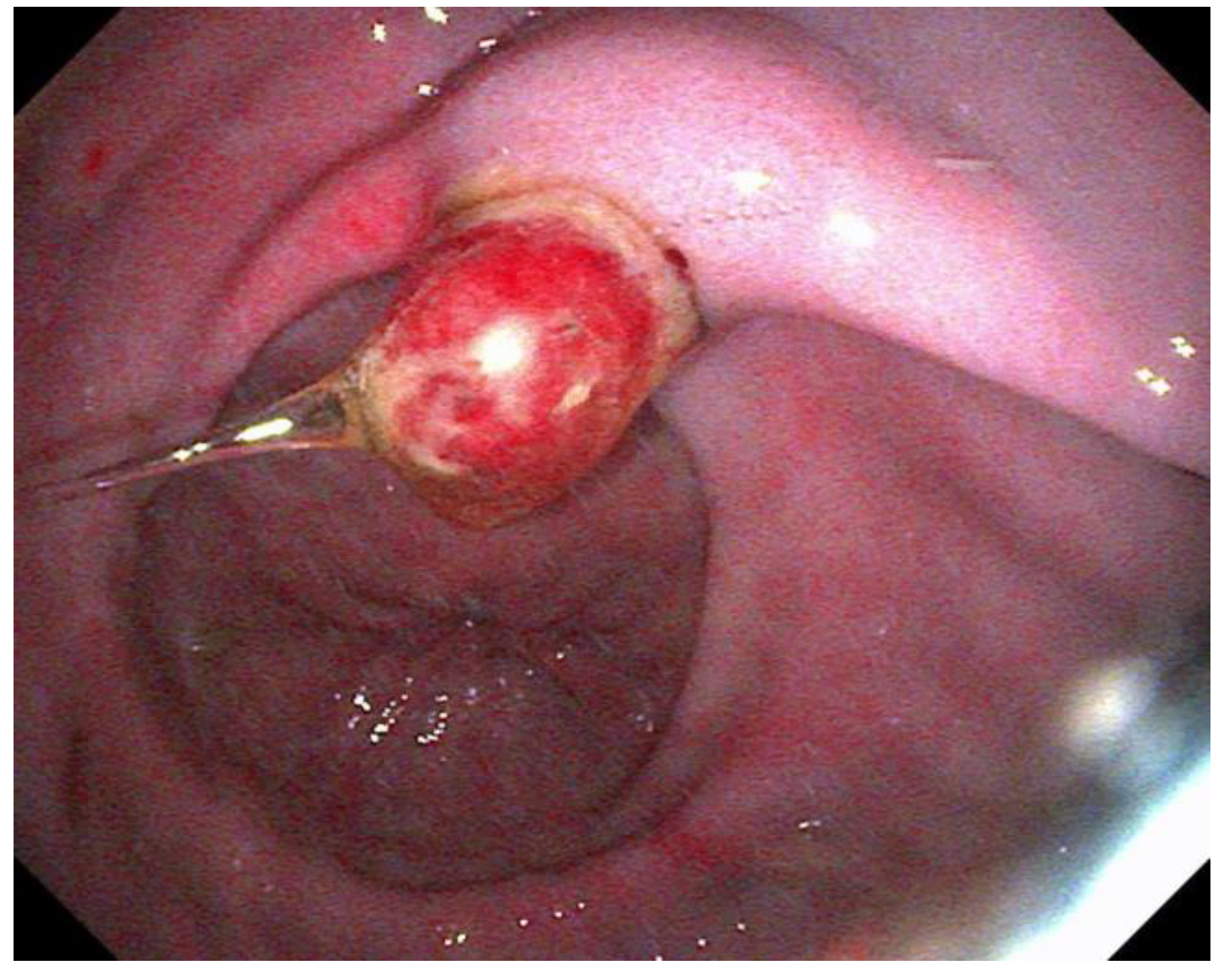 Animals 13 01261 g001 Animals 13 01261 g001