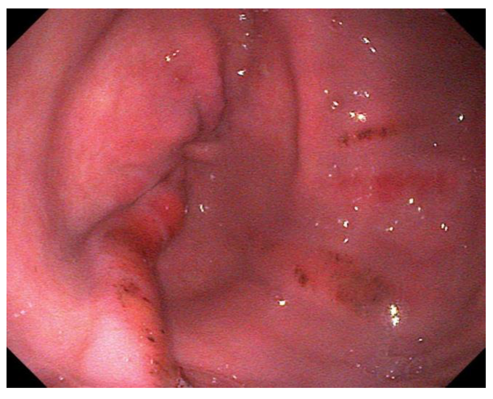 Animals 13 01261 g003 Animals 13 01261 g003