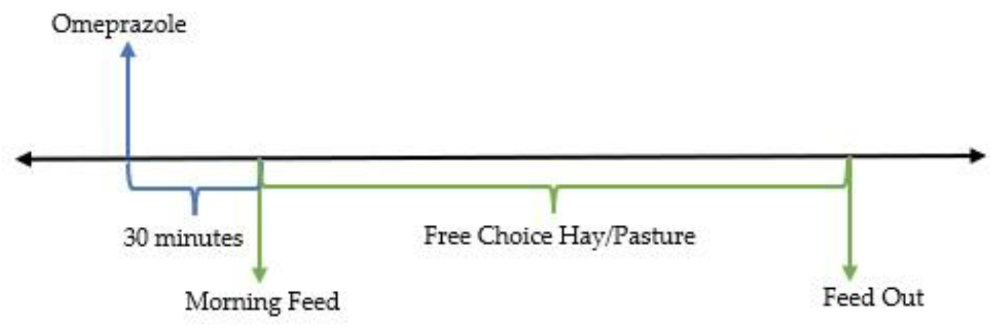 Animals 13 01261 g004 Animals 13 01261 g004