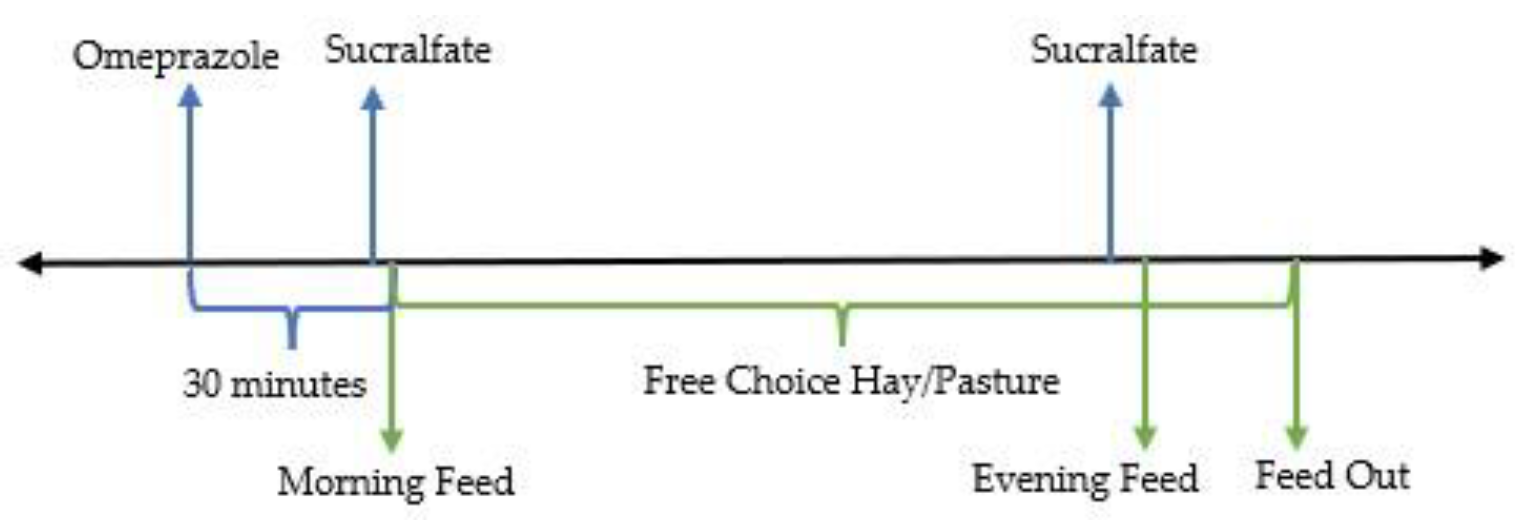 Animals 13 01261 g005 Animals 13 01261 g005