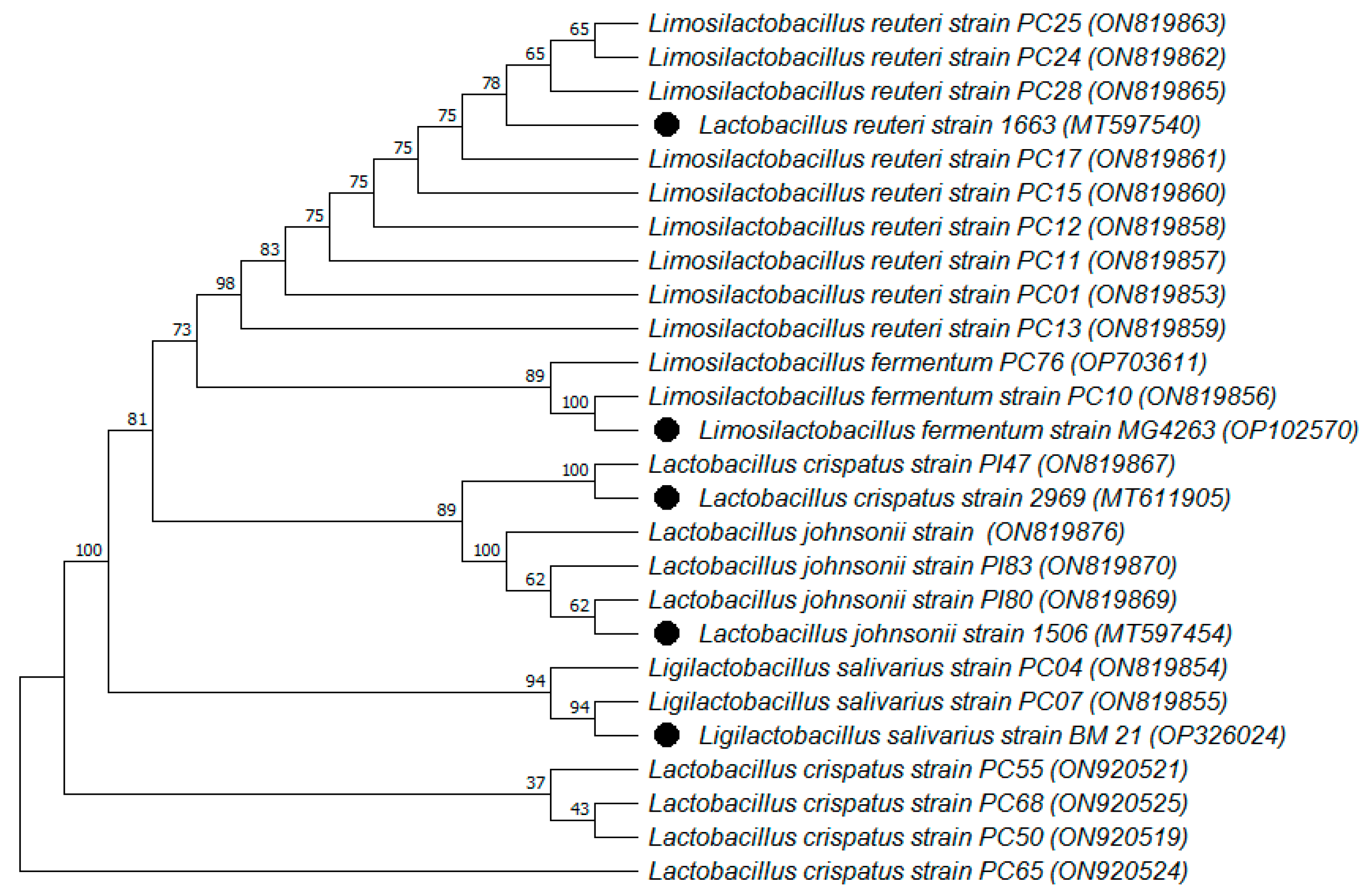 Animals 13 01284 g001