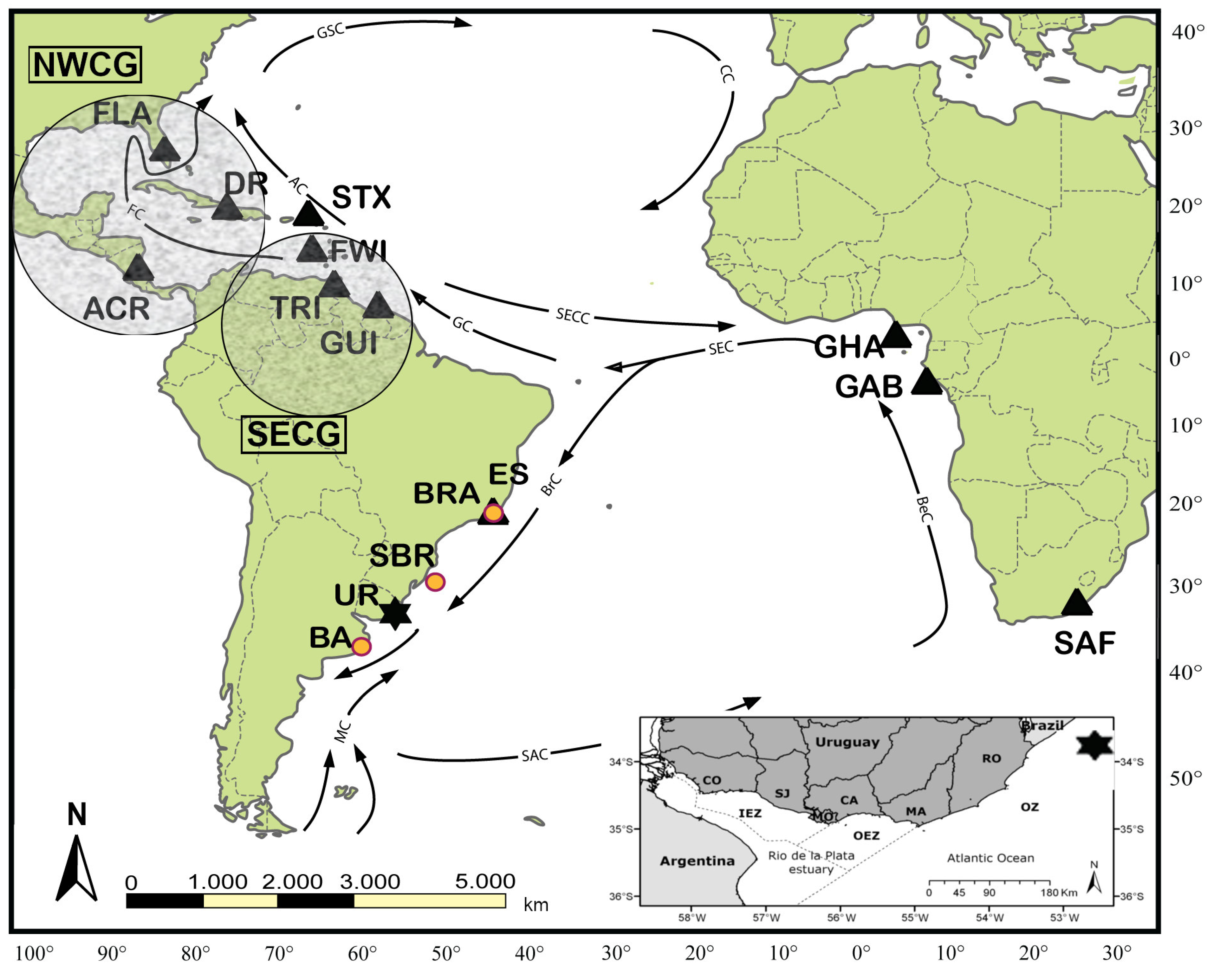 Animals 13 01285 g001 Animals 13 01285 g001