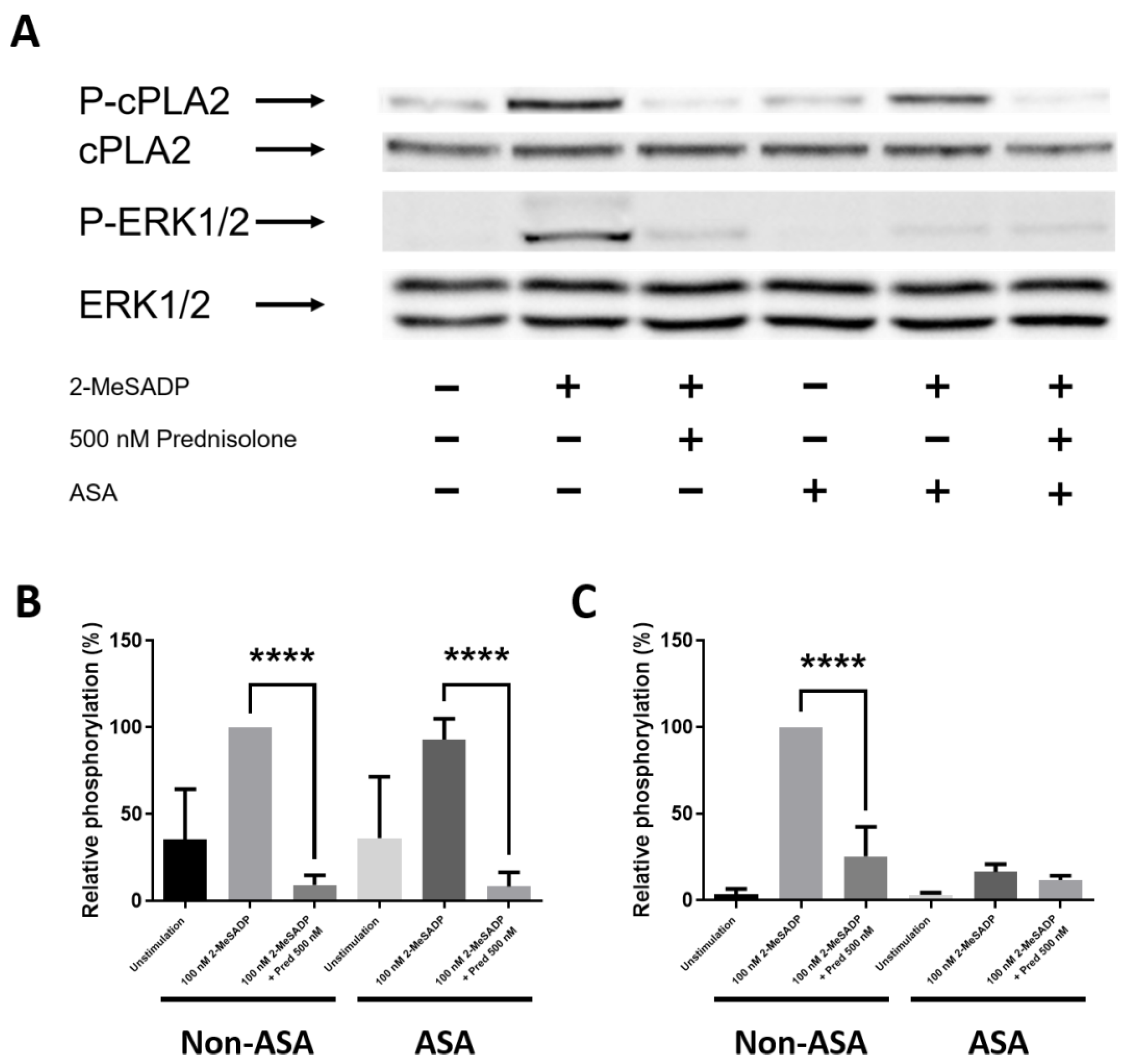 Animals 13 01299 g005