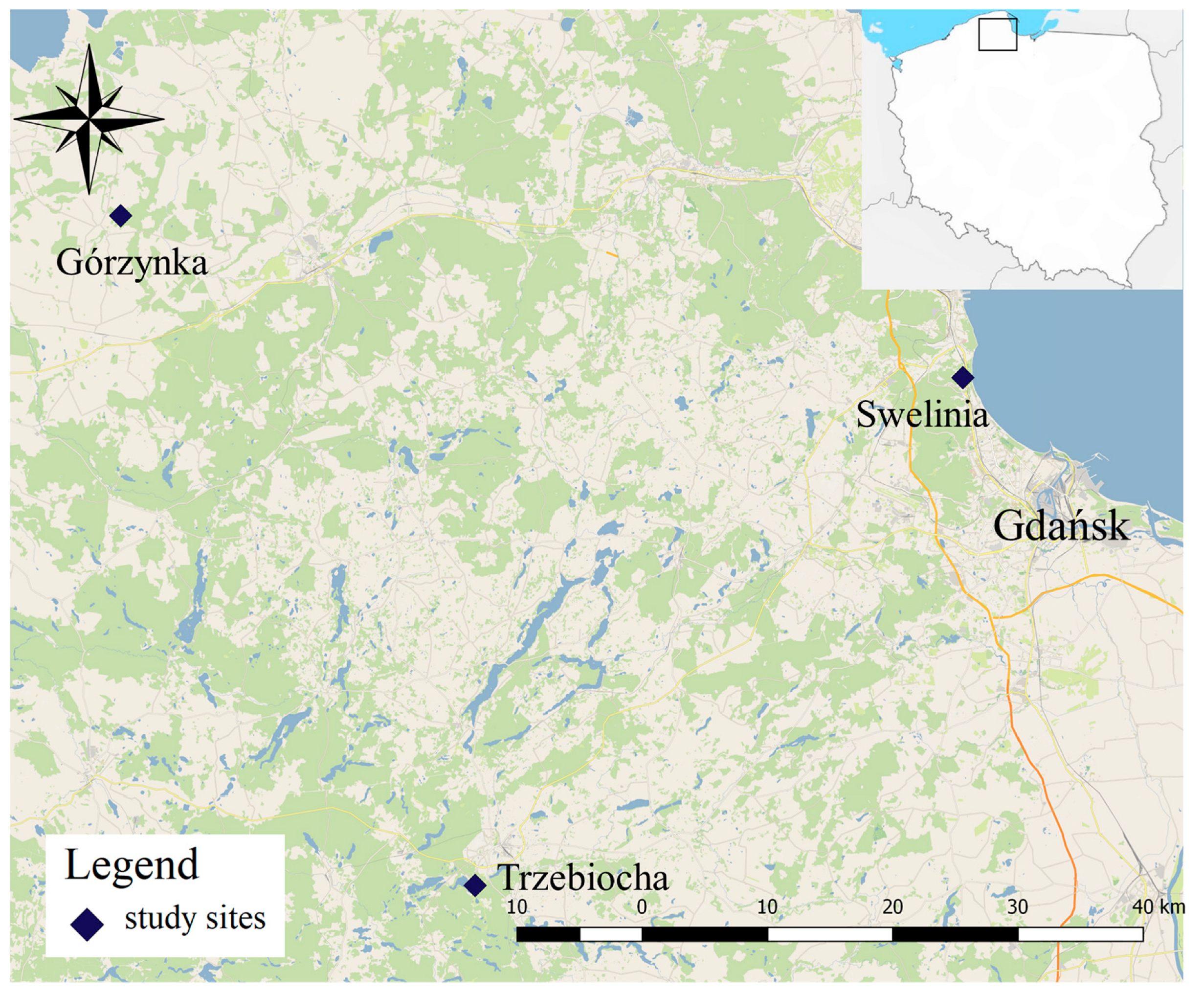 Animals 13 01302 g001