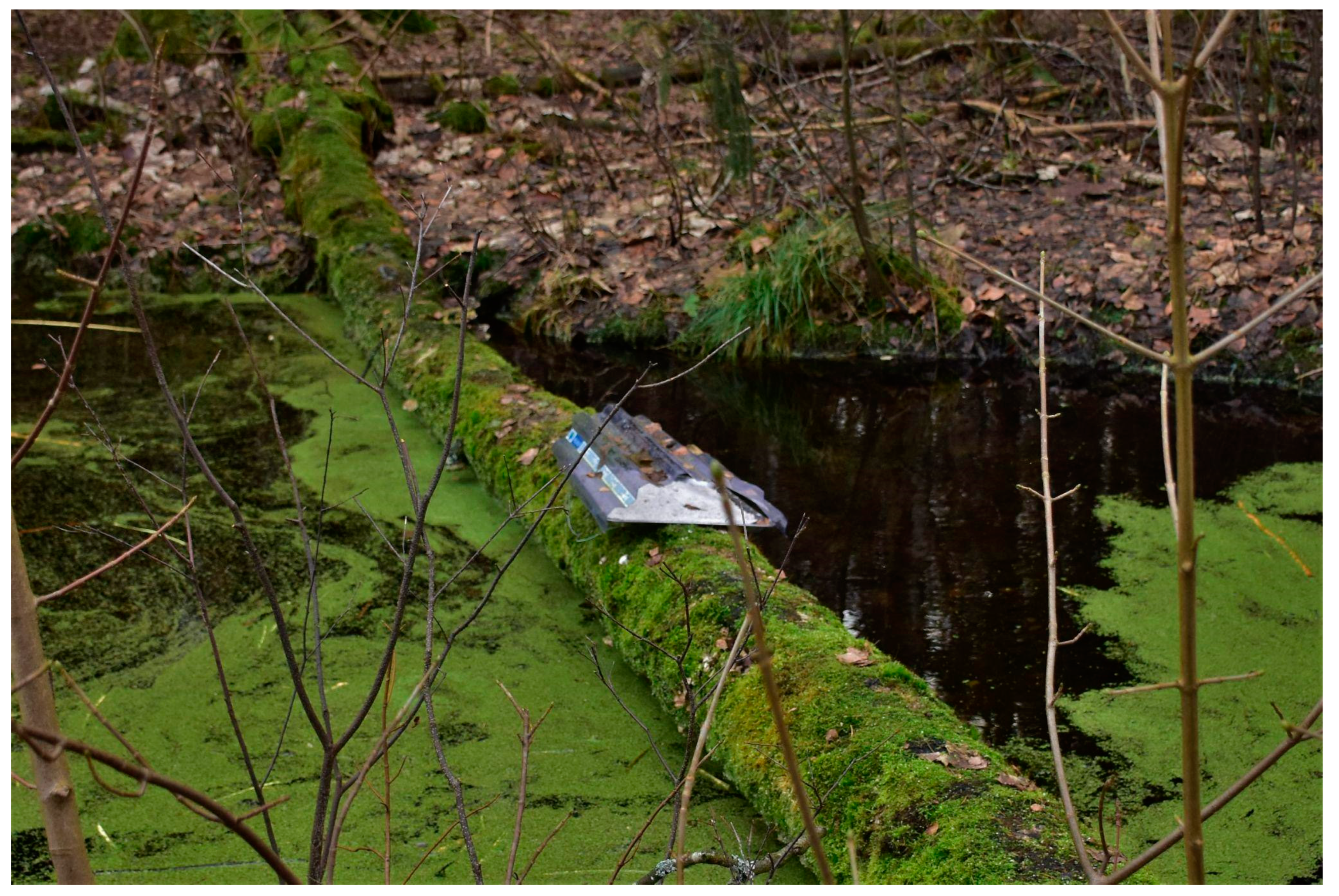 Animals 13 01302 g002