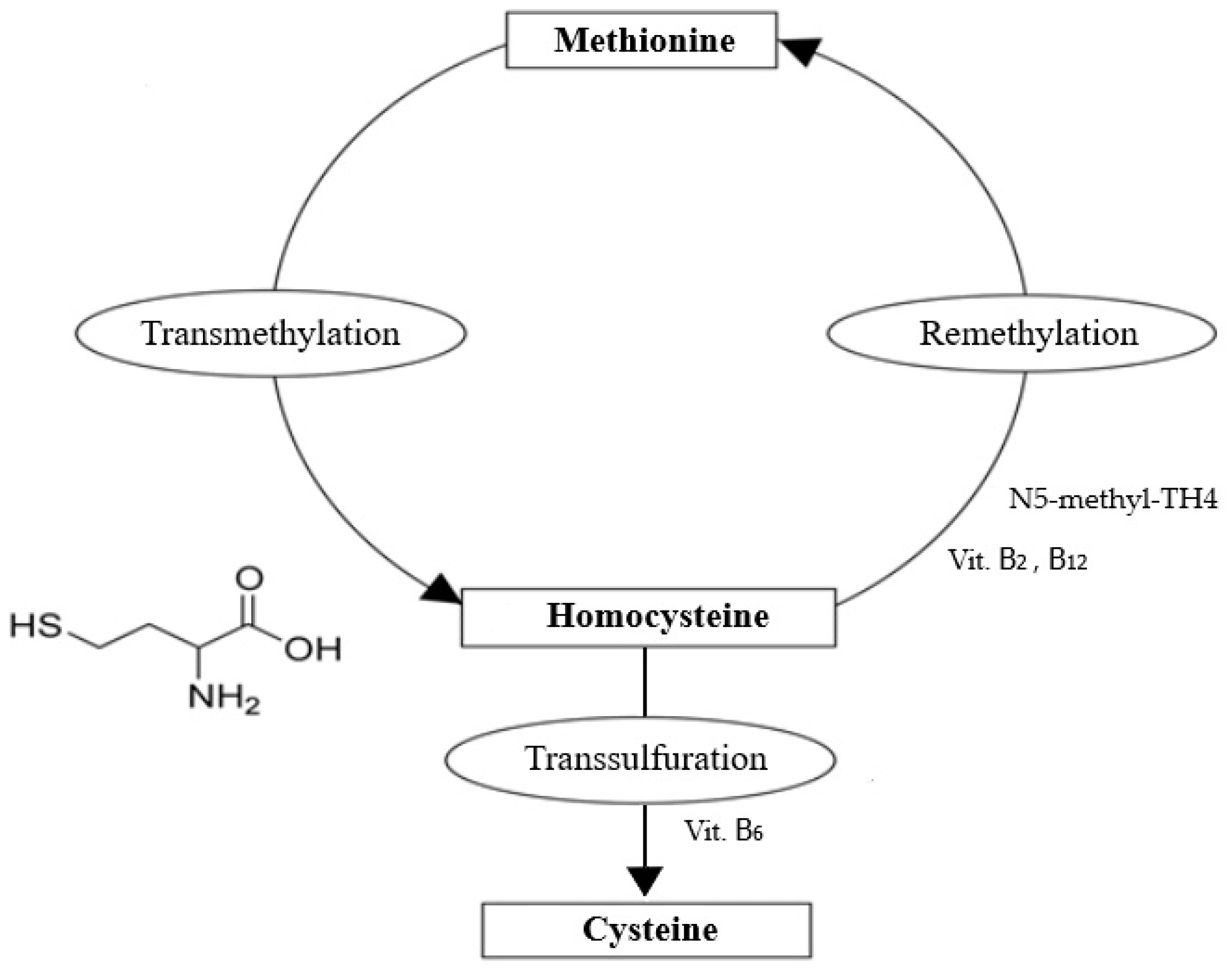 Animals 13 01311 g001