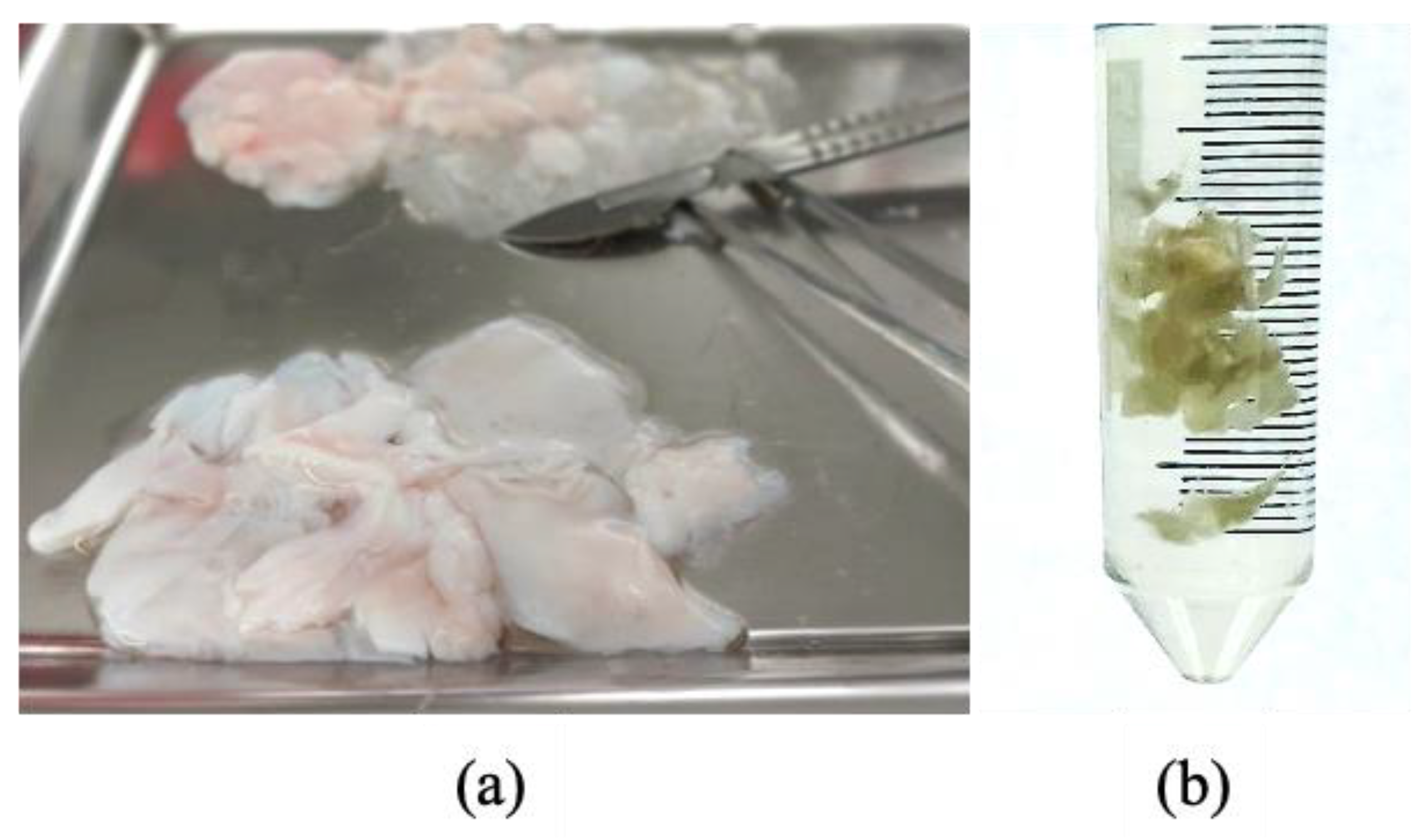 Animals 13 01312 g001