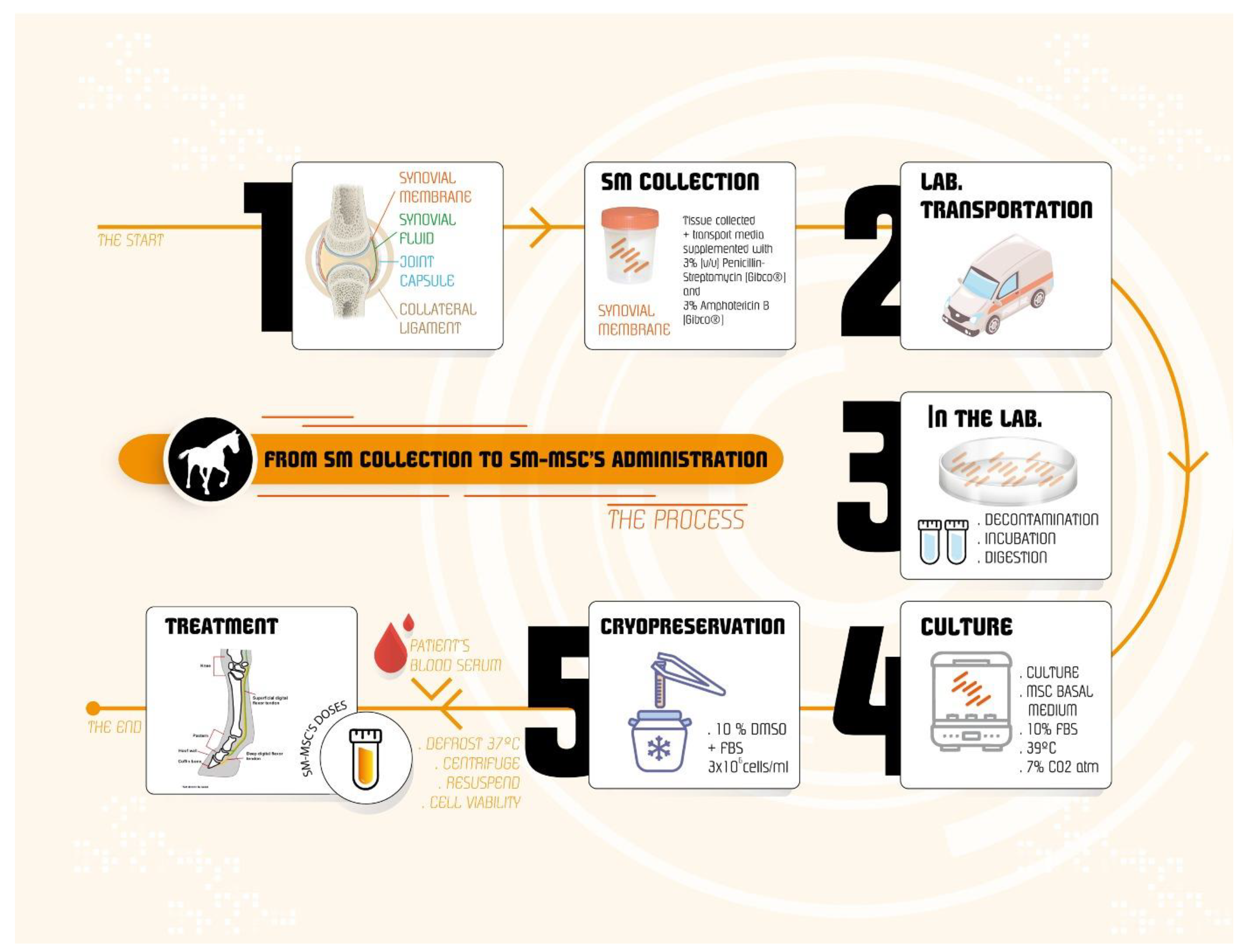 Animals 13 01312 g002