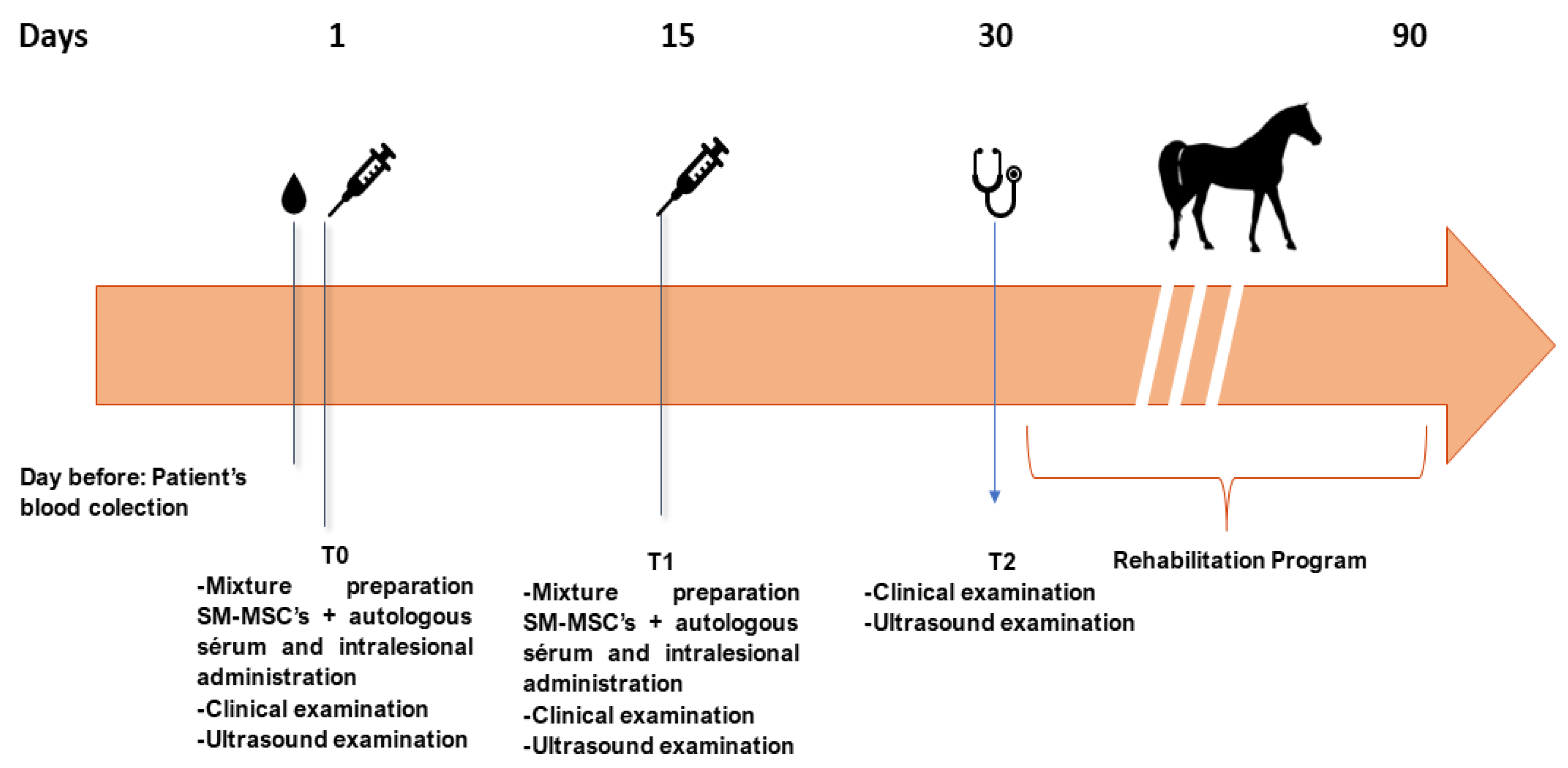 Animals 13 01312 g003