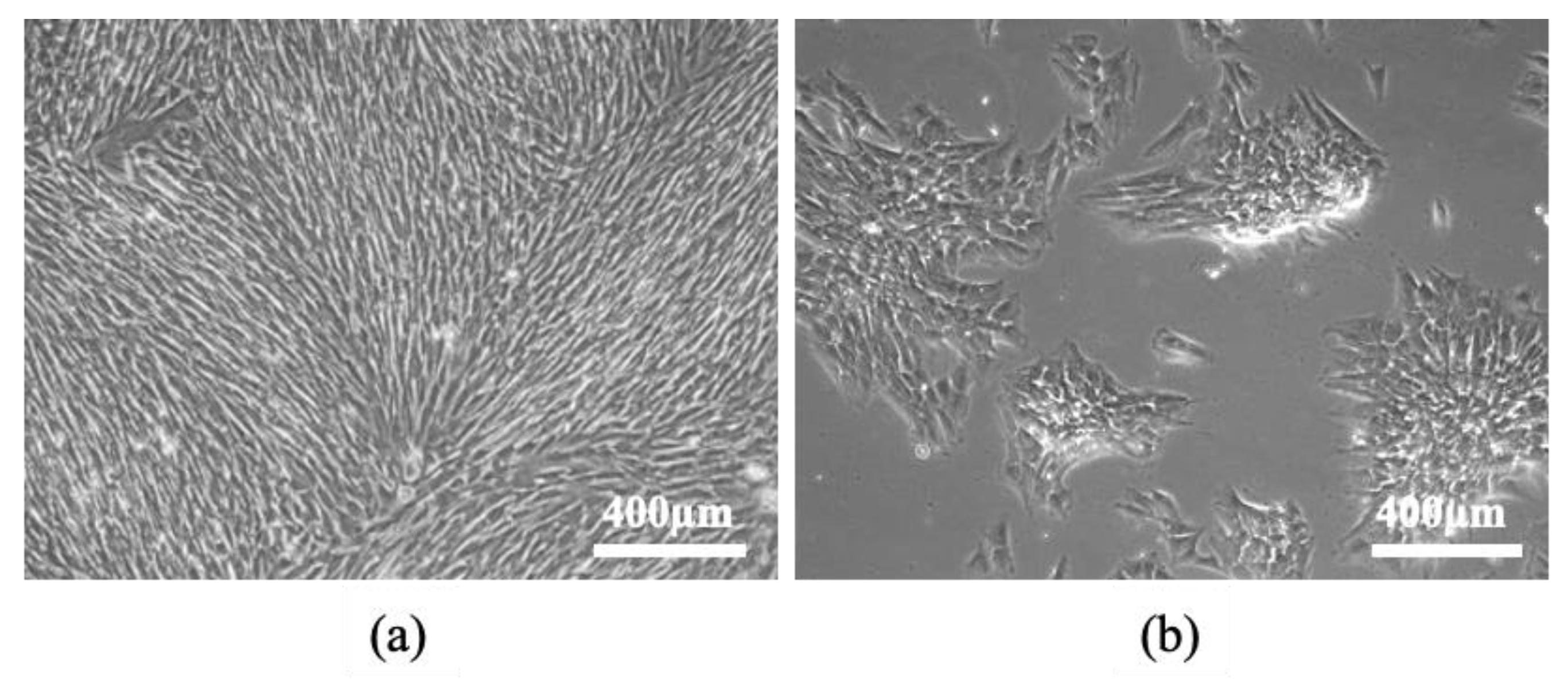 Animals 13 01312 g004