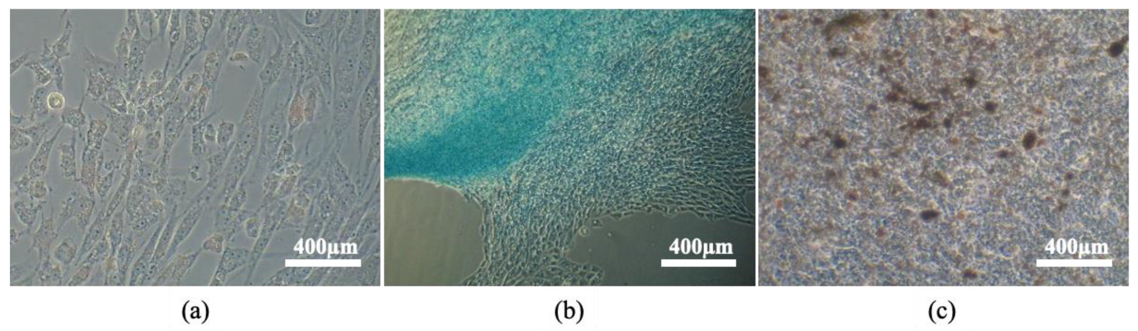 Animals 13 01312 g005