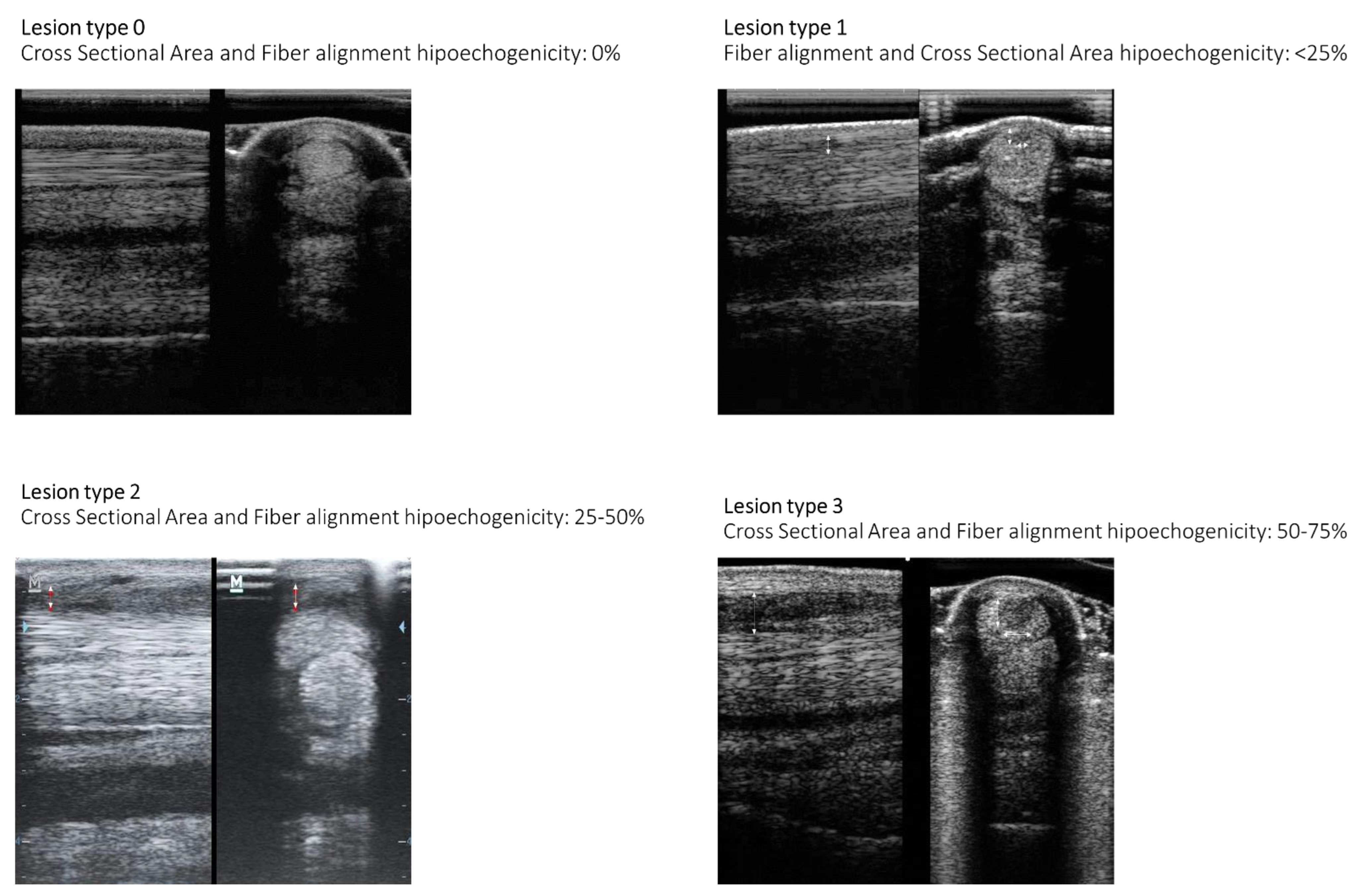 Animals 13 01312 g009
