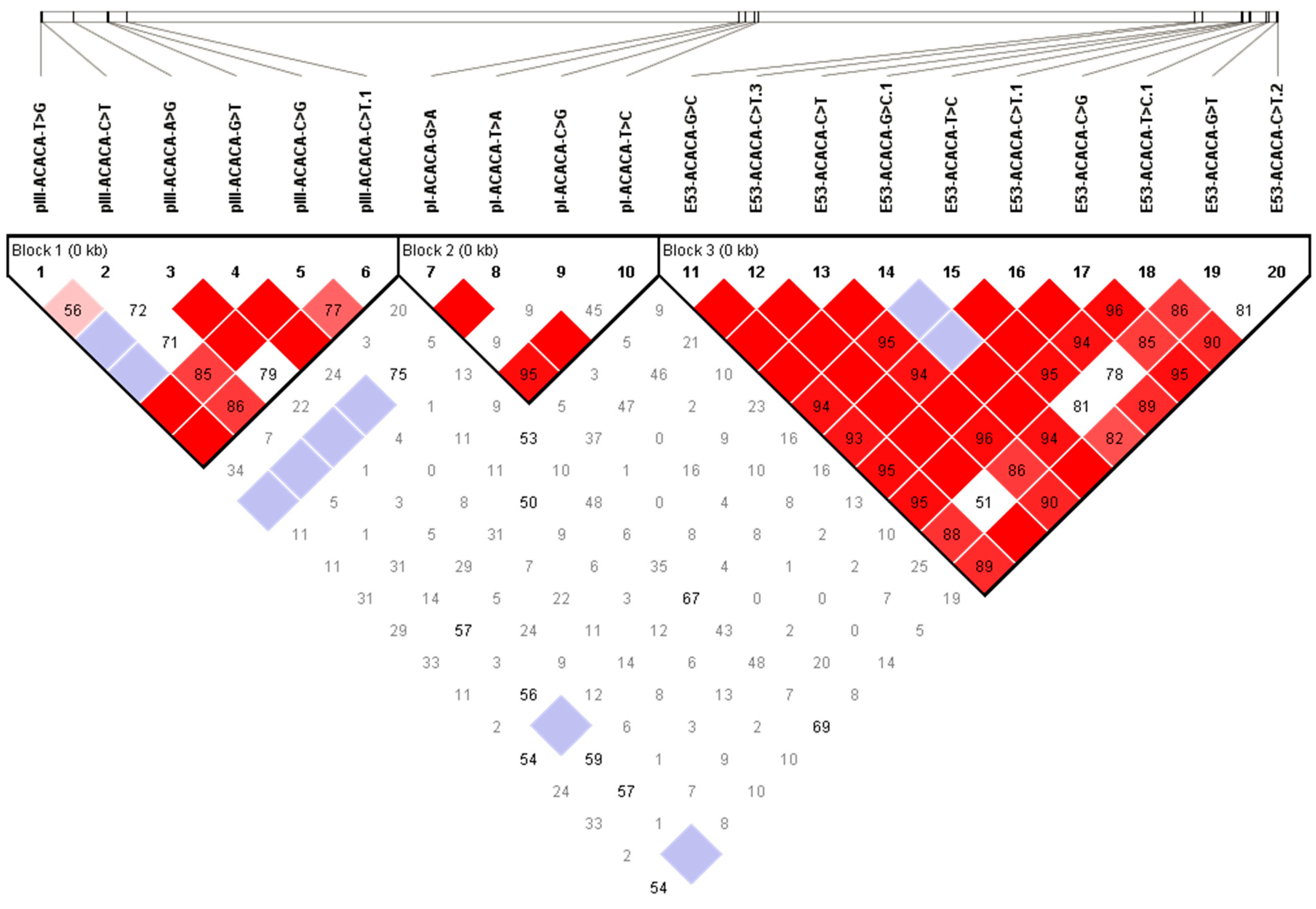 Animals 13 01317 g002