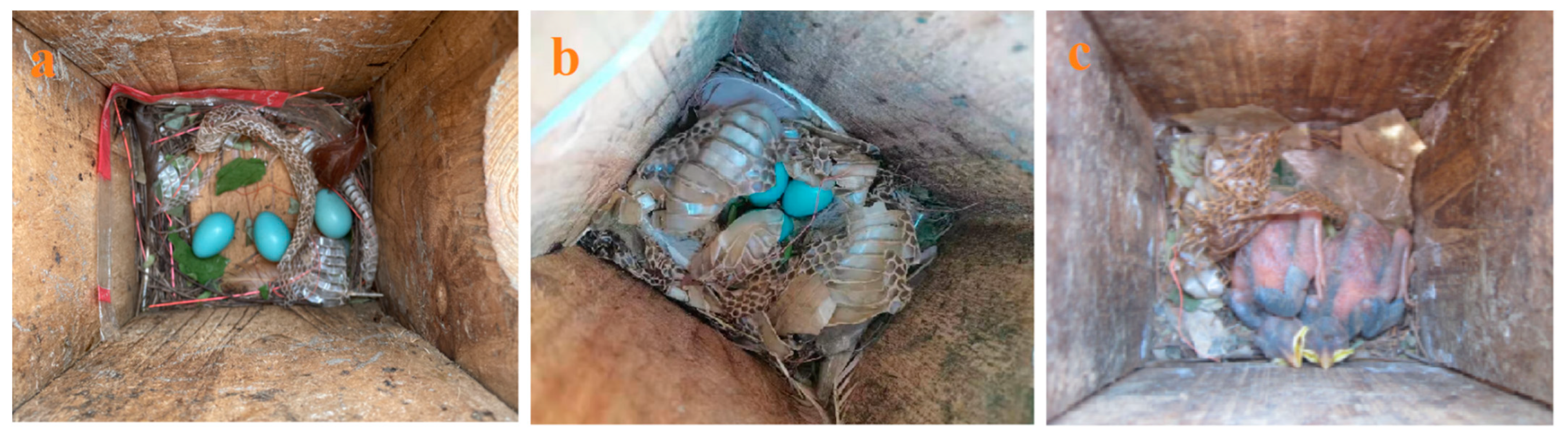 Animals 13 01337 g002