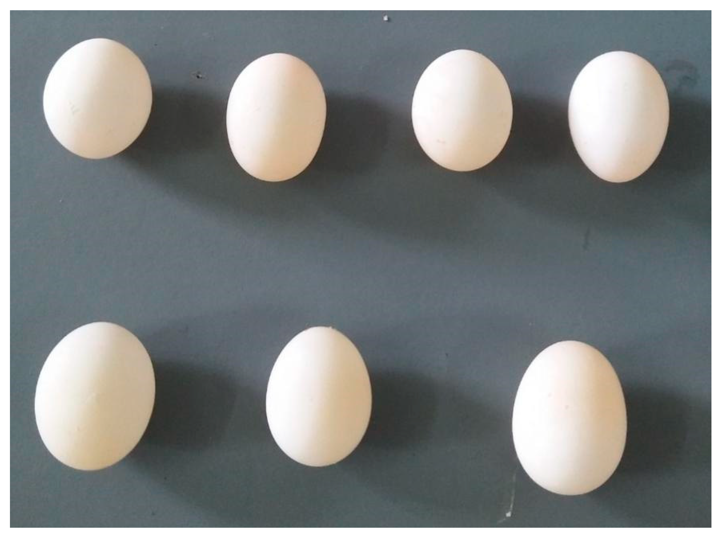 Animals 13 01337 g004