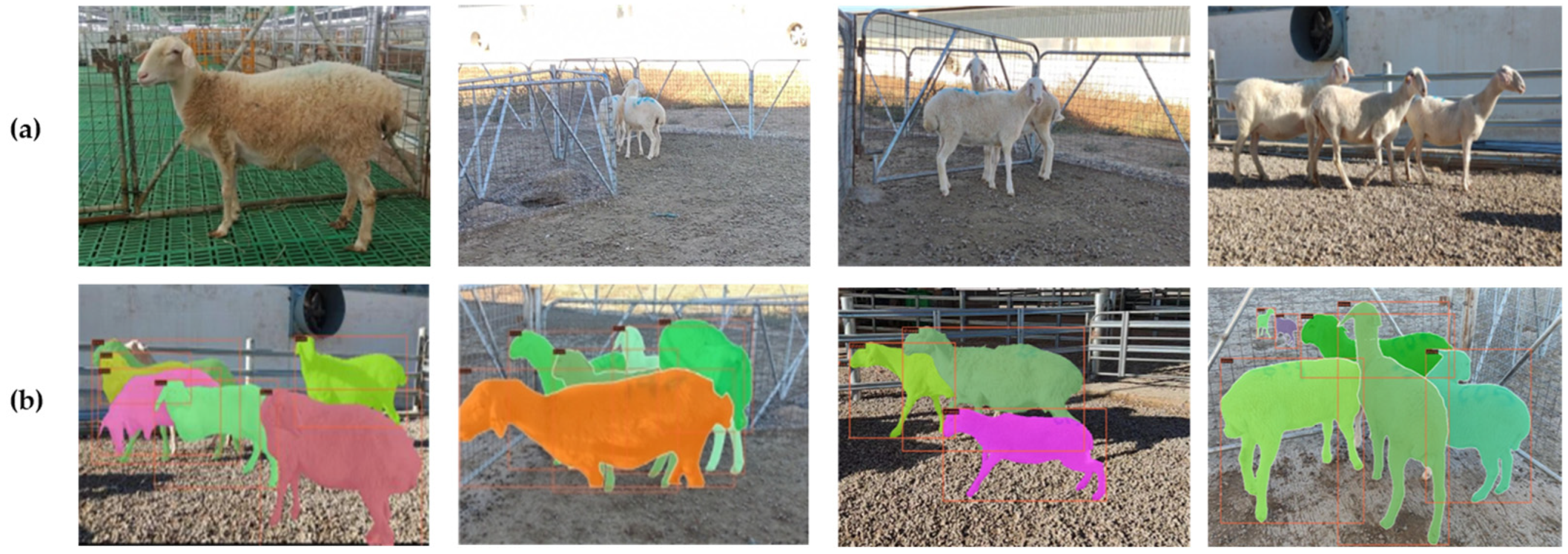 Animals 13 01338 g001 Animals 13 01338 g001