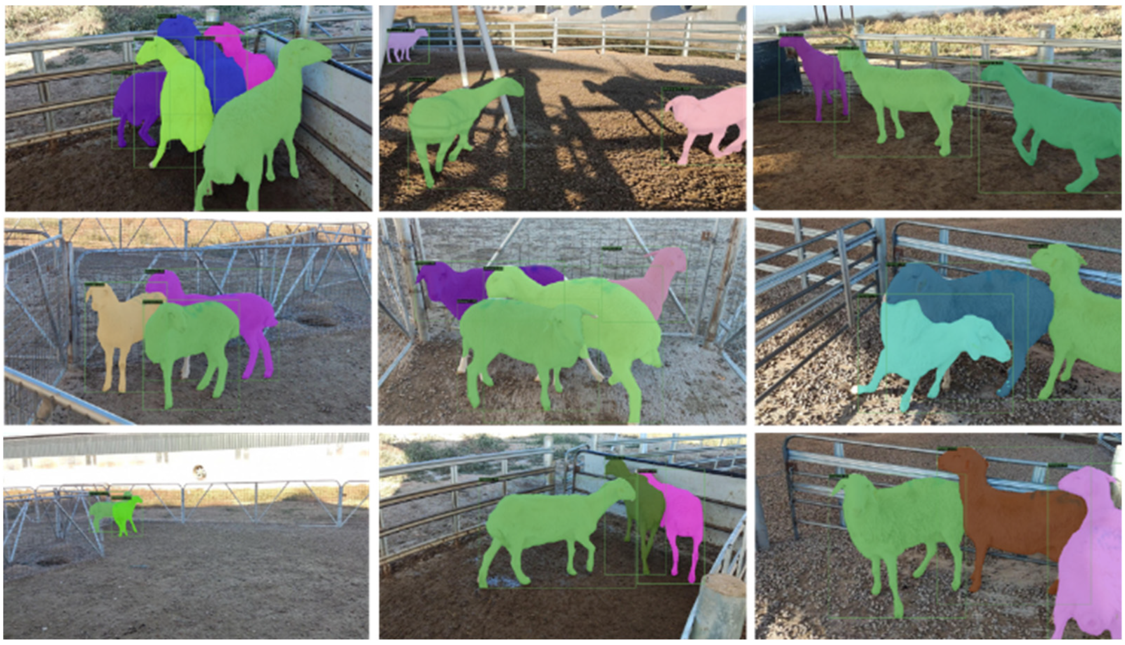 Animals 13 01338 g006 Animals 13 01338 g006