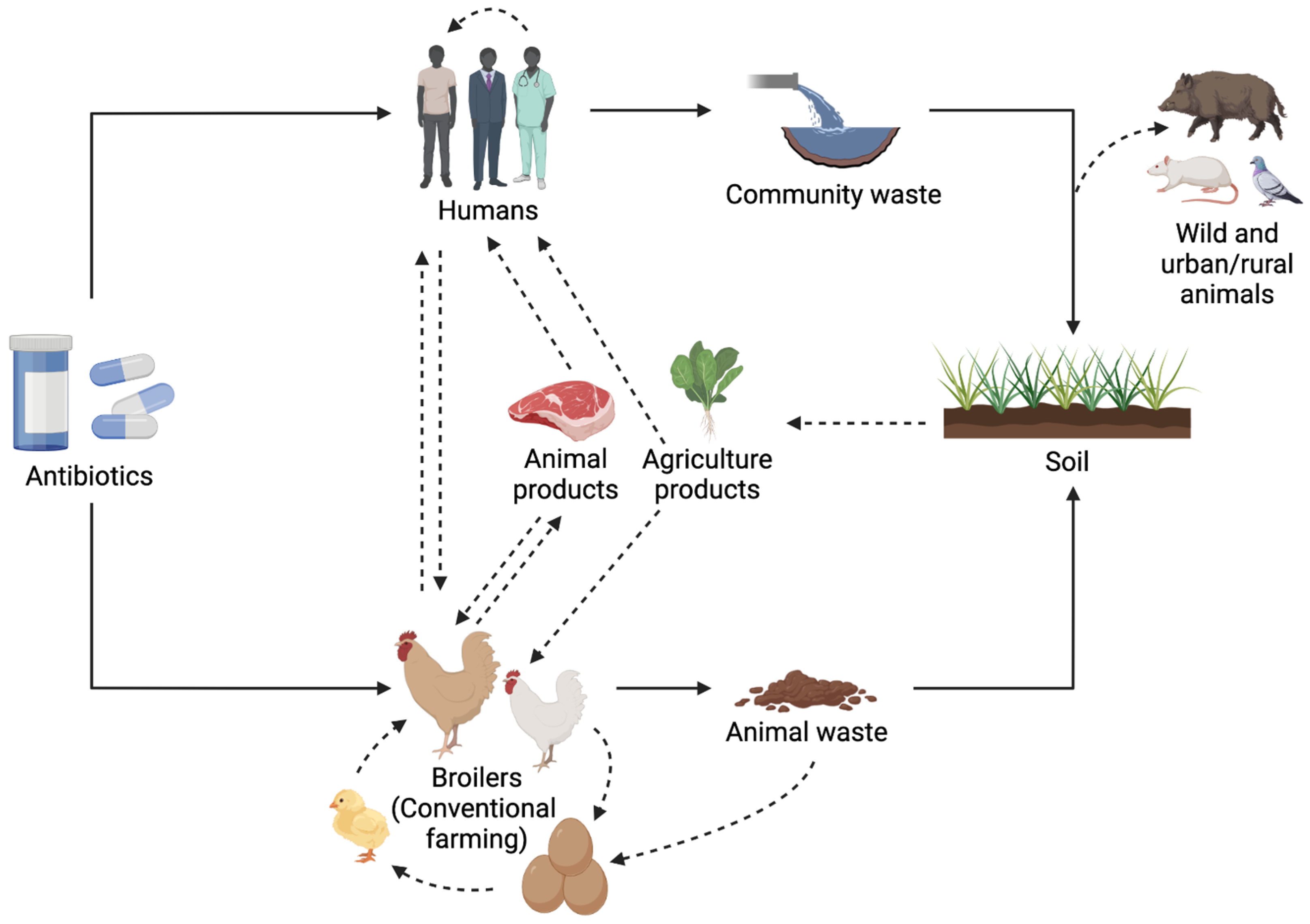 Animals 13 01362 g002 Animals 13 01362 g002