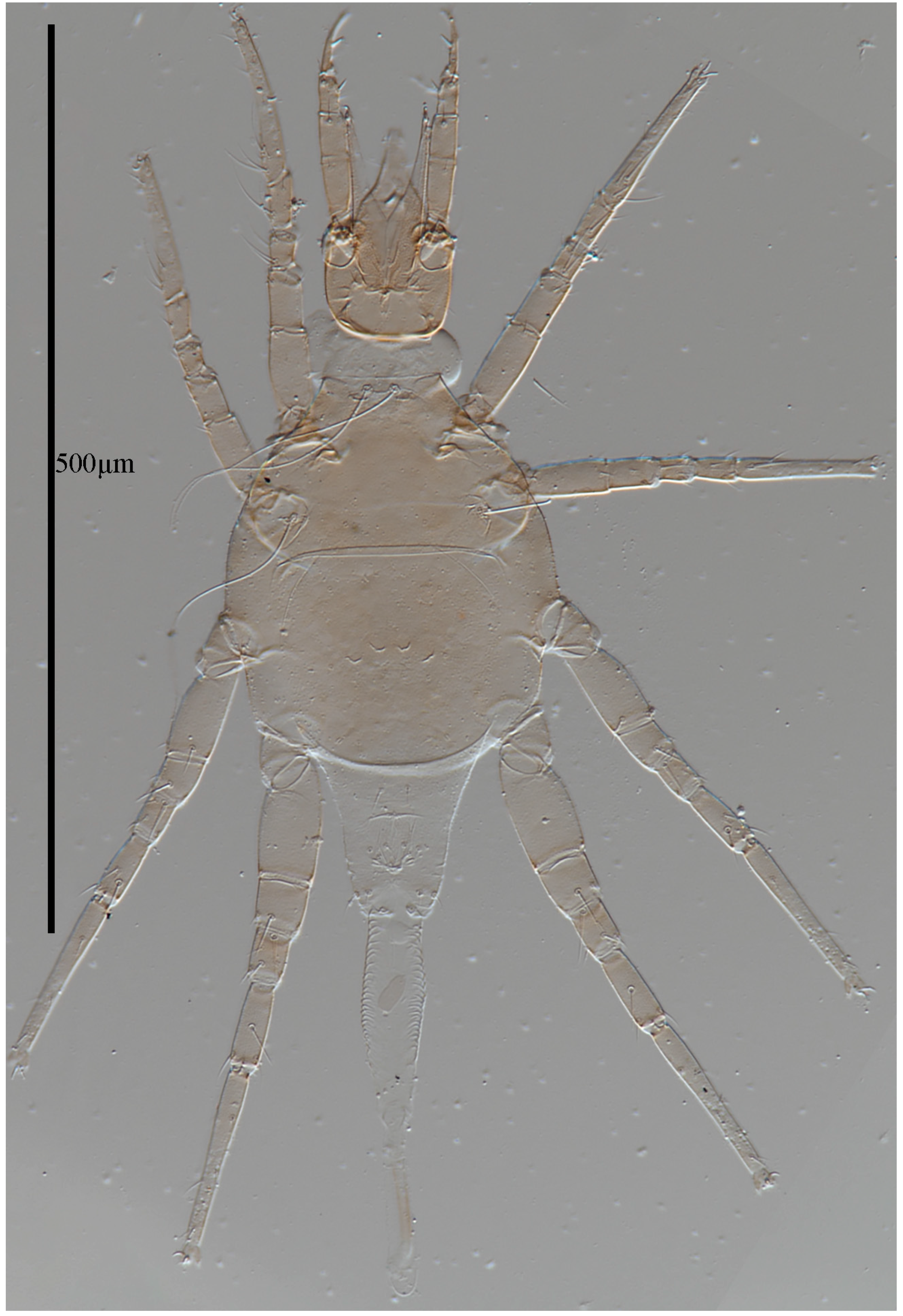 Animals 13 01363 g001