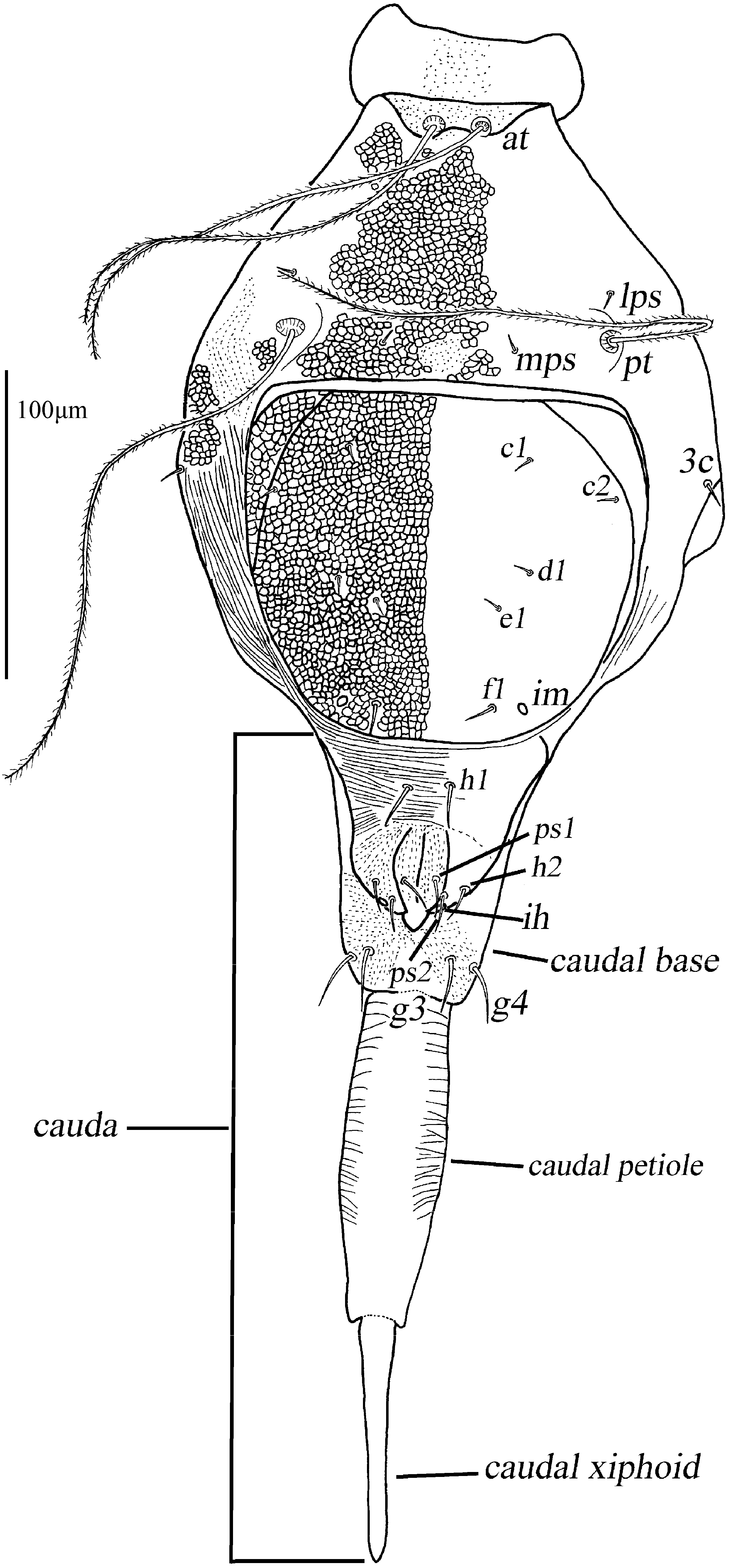 Animals 13 01363 g002