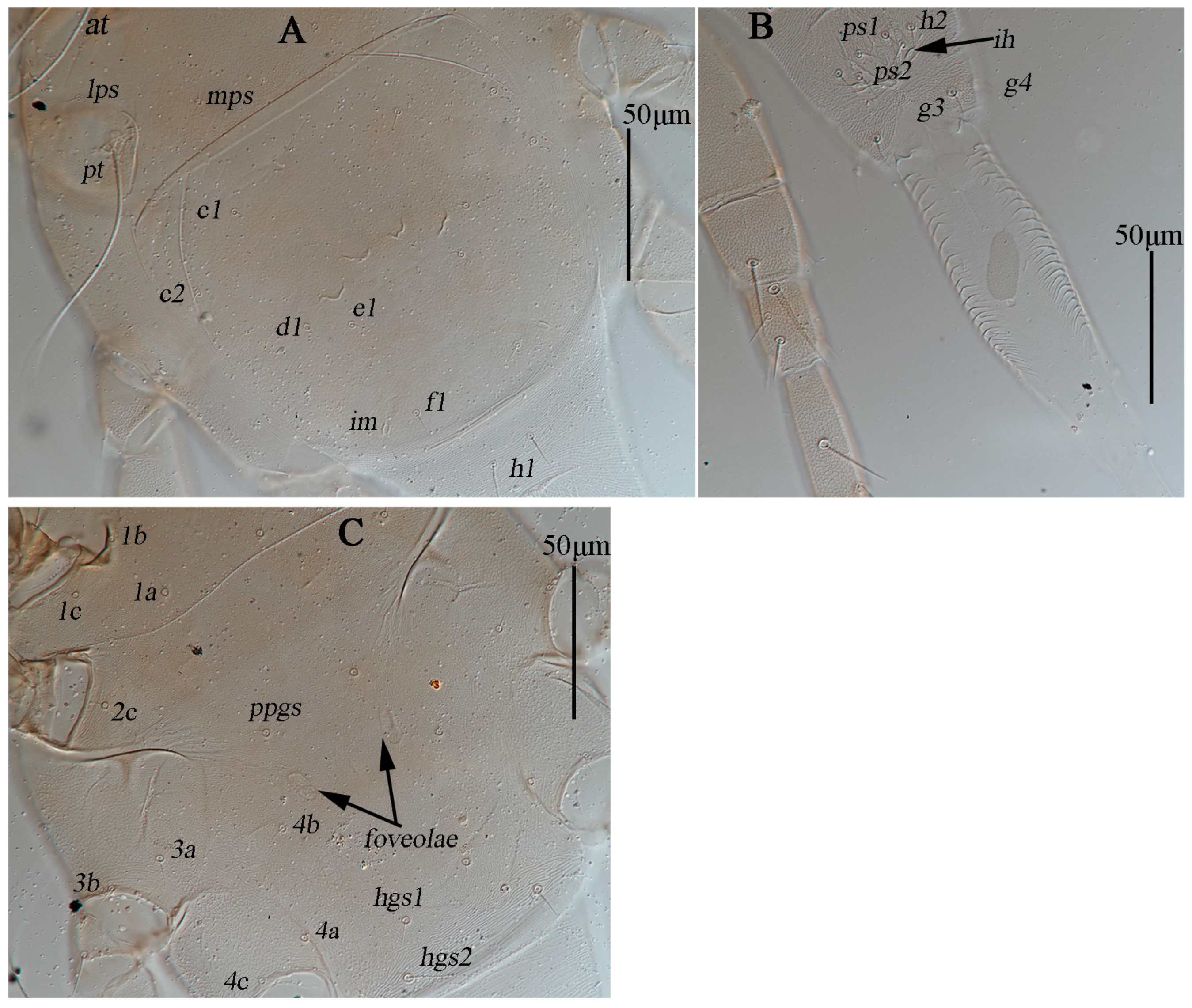 Animals 13 01363 g003